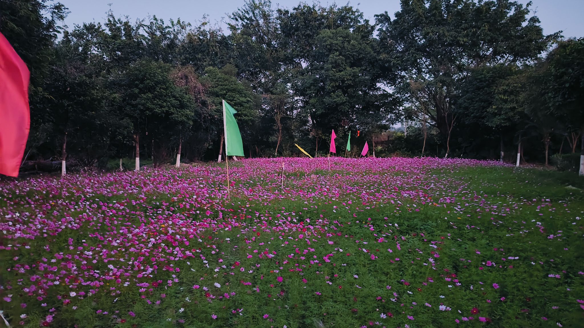锦江温泉旅行图片 2