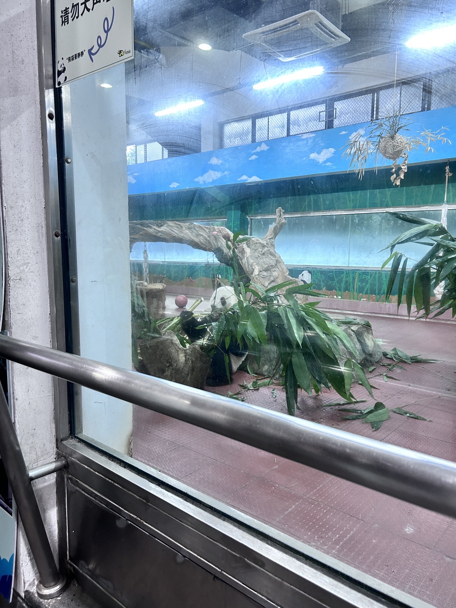 赤坎·广东华侨国际旅游度假区旅行图片 3