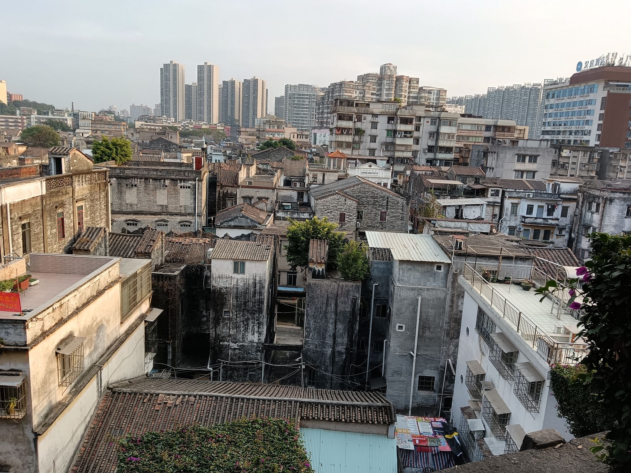 中山公园旅行图片 2
