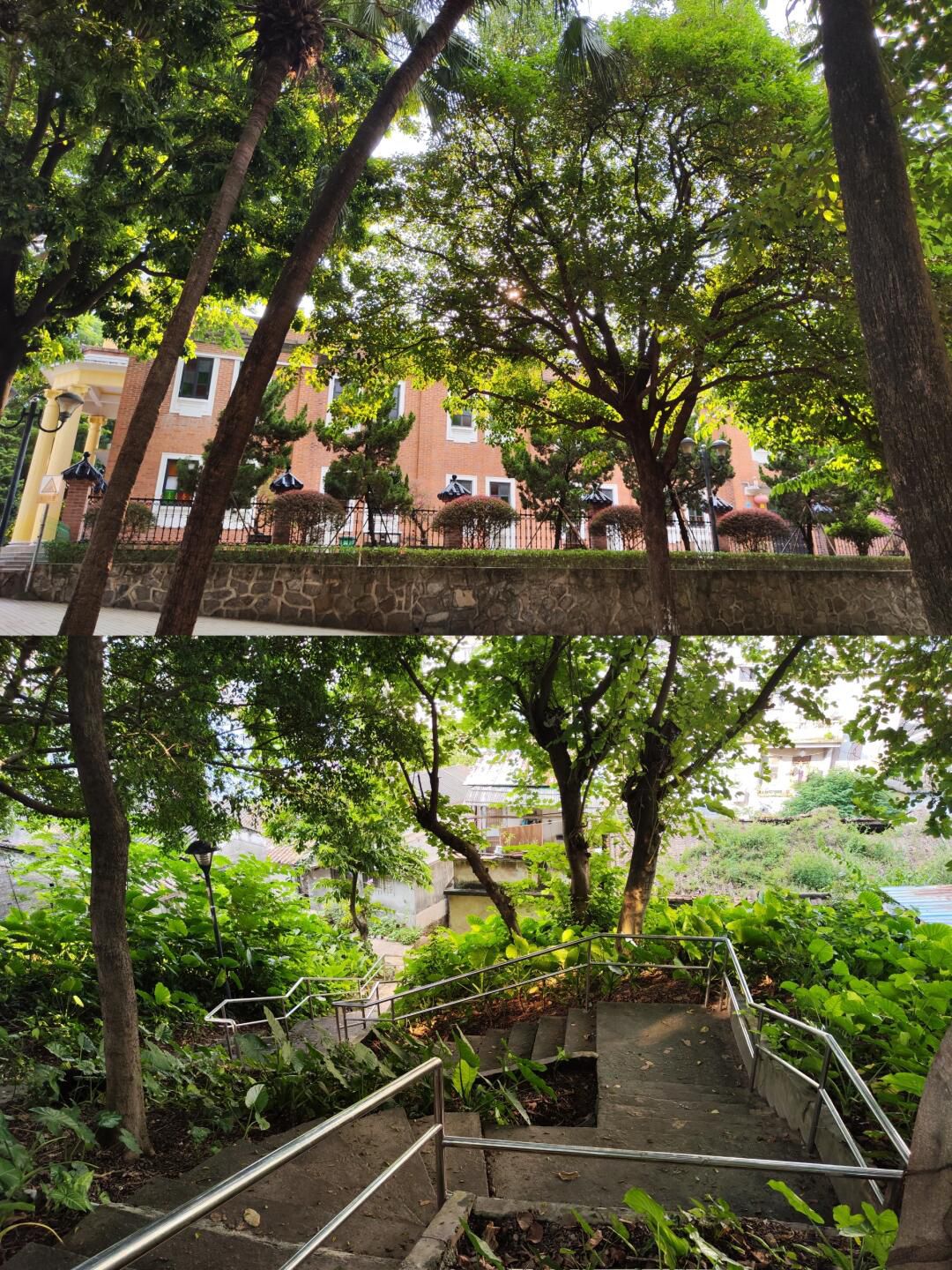中山公园旅行图片 1