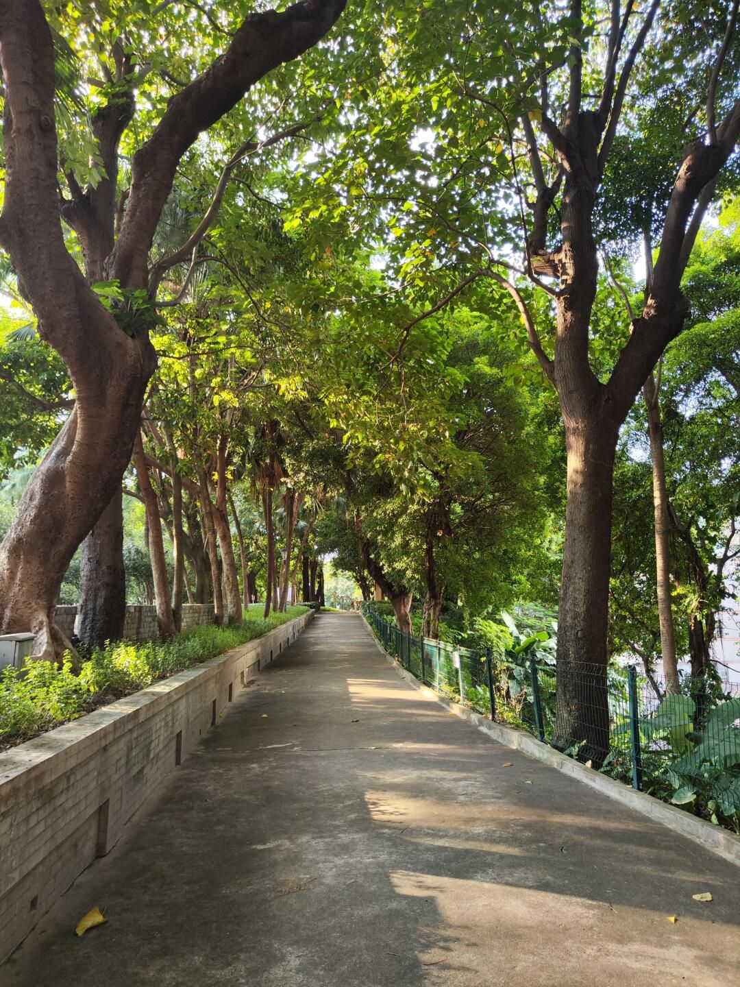 中山公园旅行图片 2