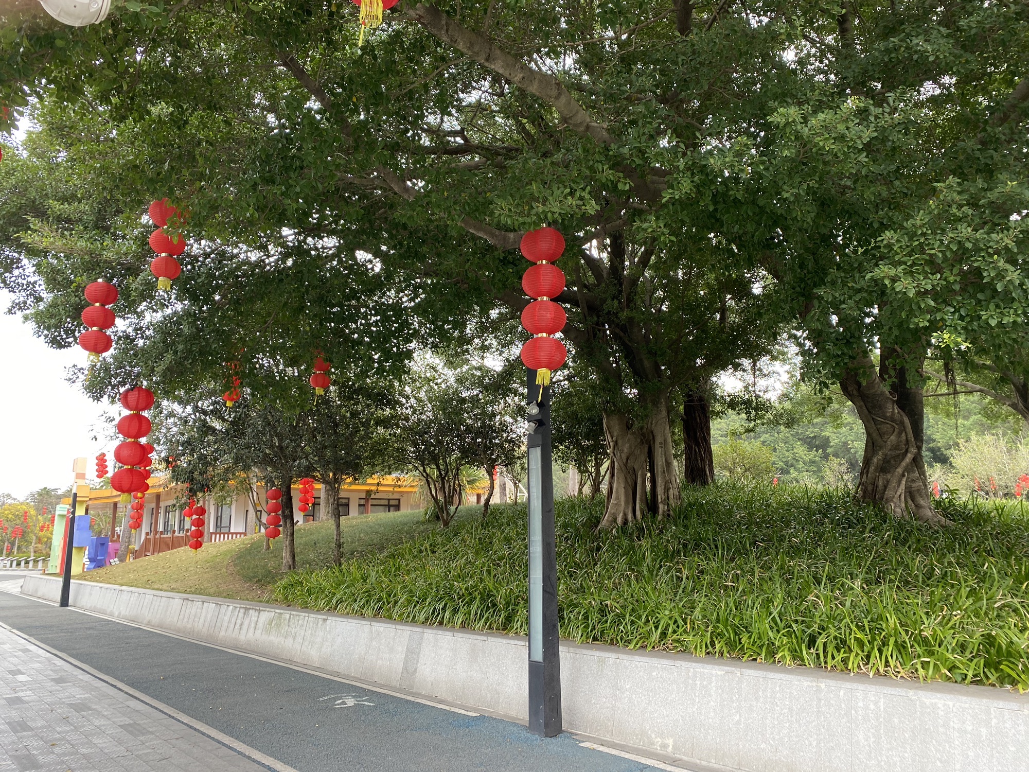 釜山公园旅行图片 3