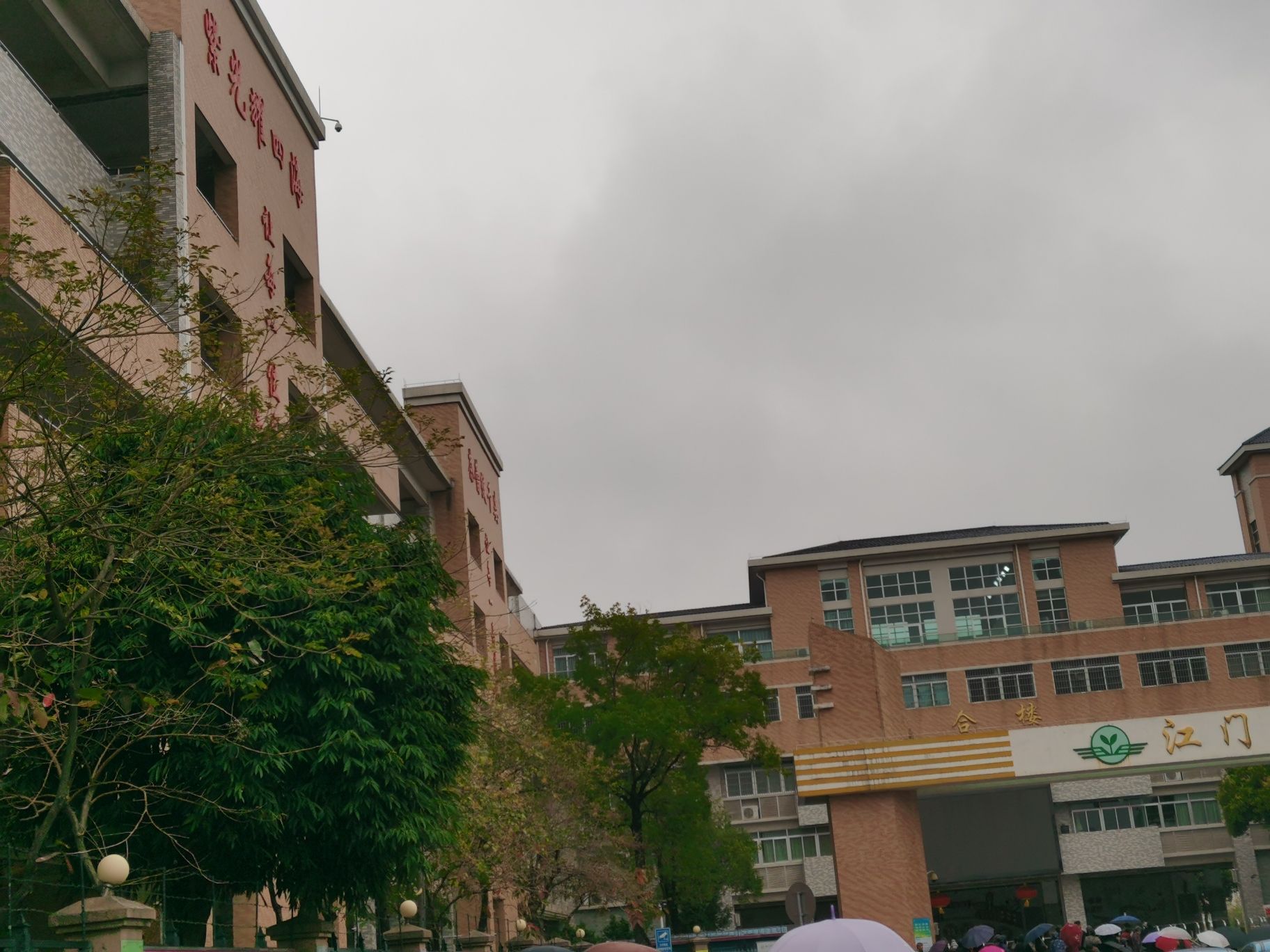 江门市紫茶小学