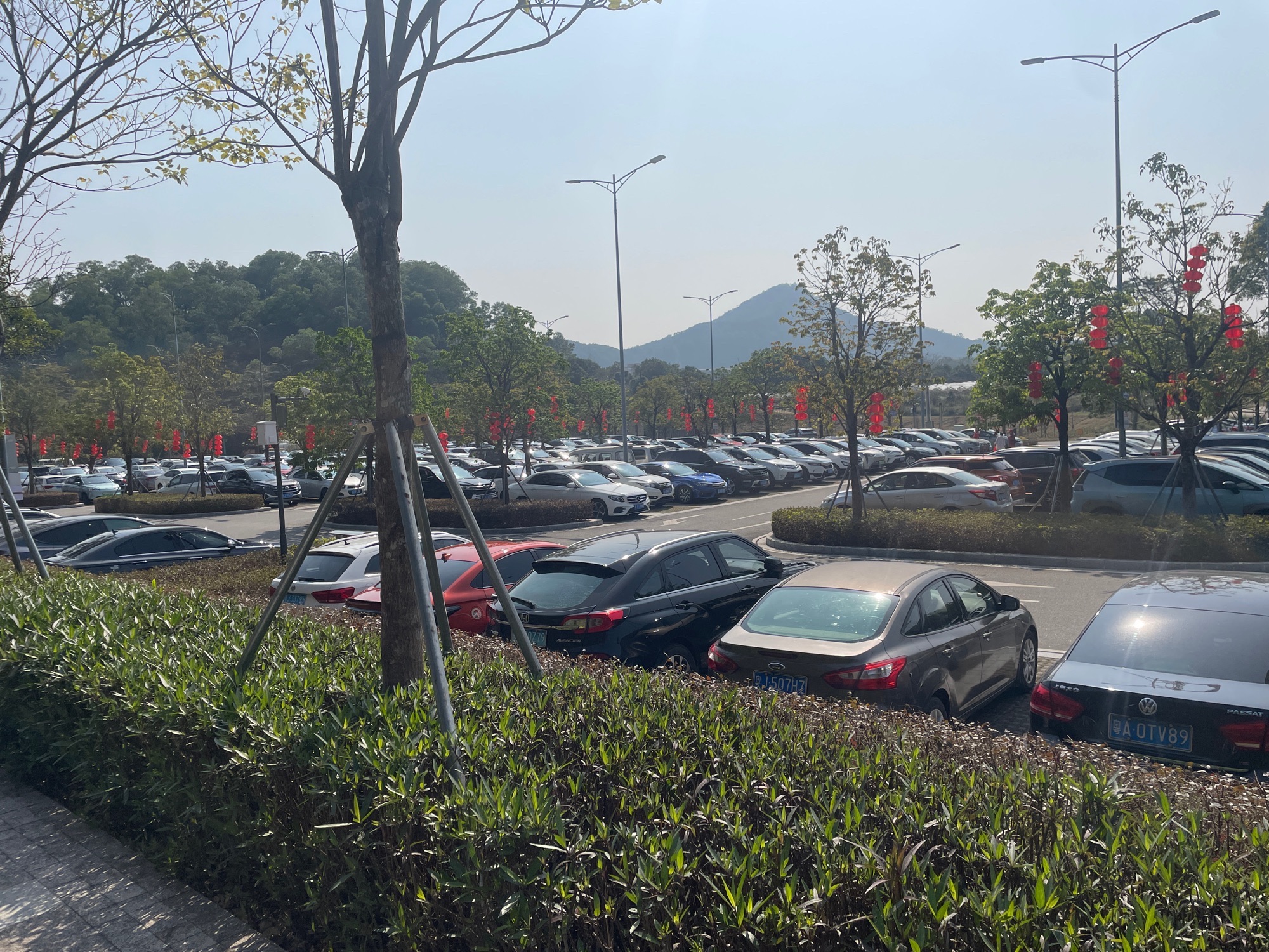 群星公园旅行图片 1