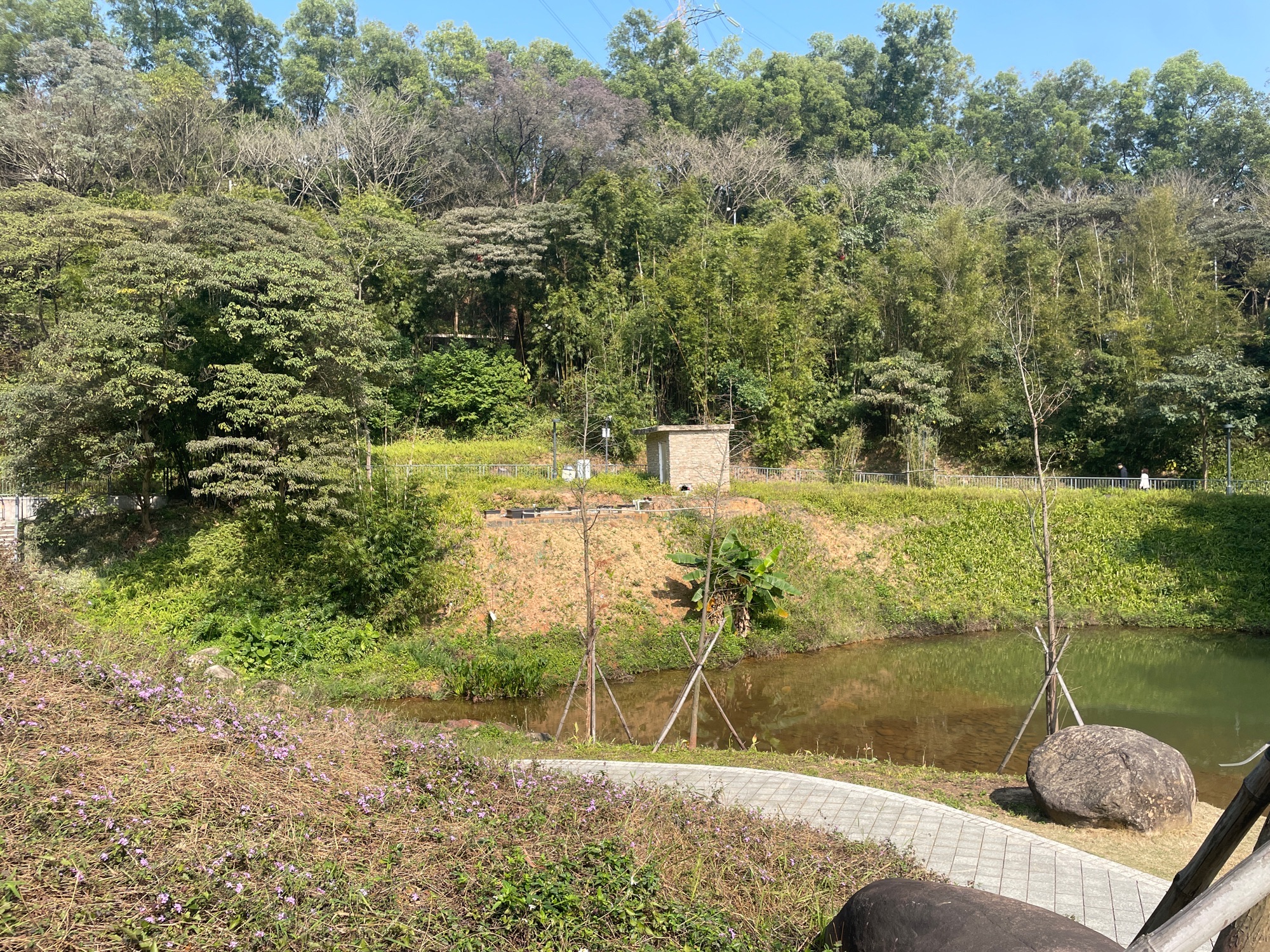 群星公园旅行图片 2
