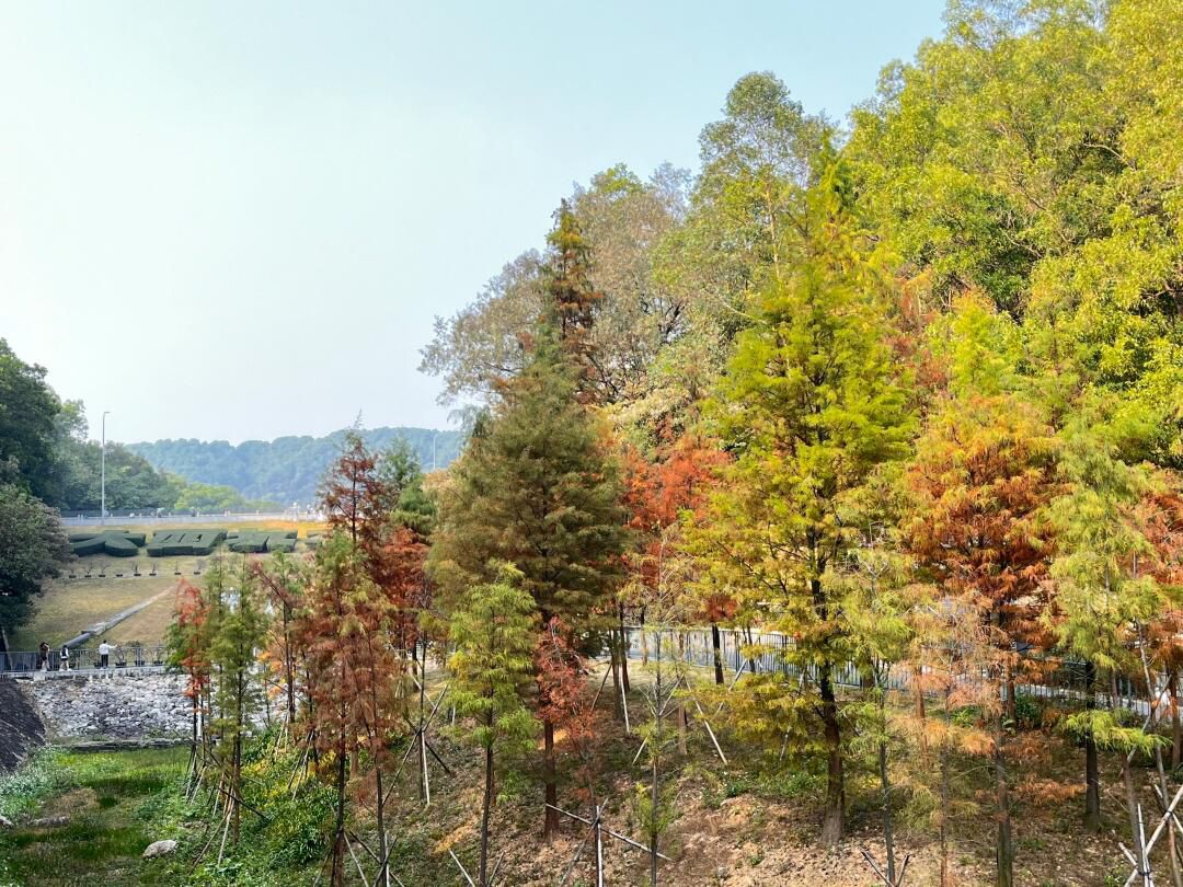 群星公园旅行图片 3
