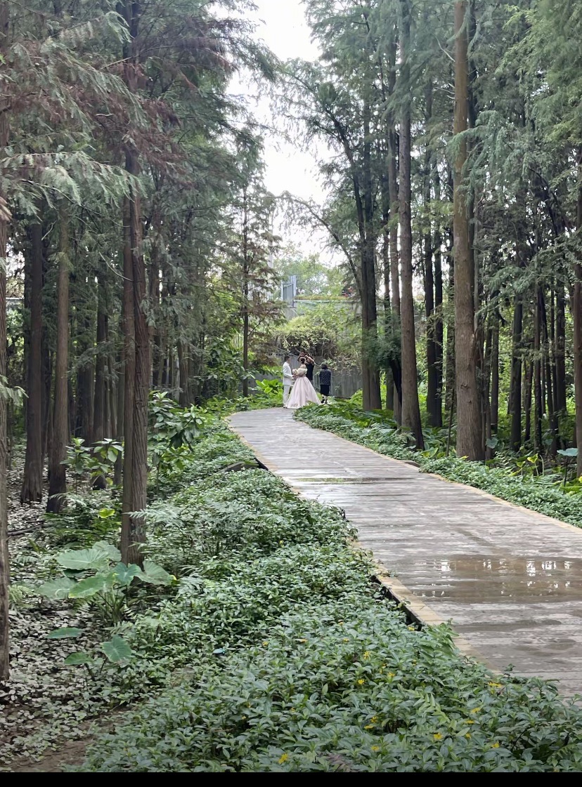 潮连公园旅行图片 3