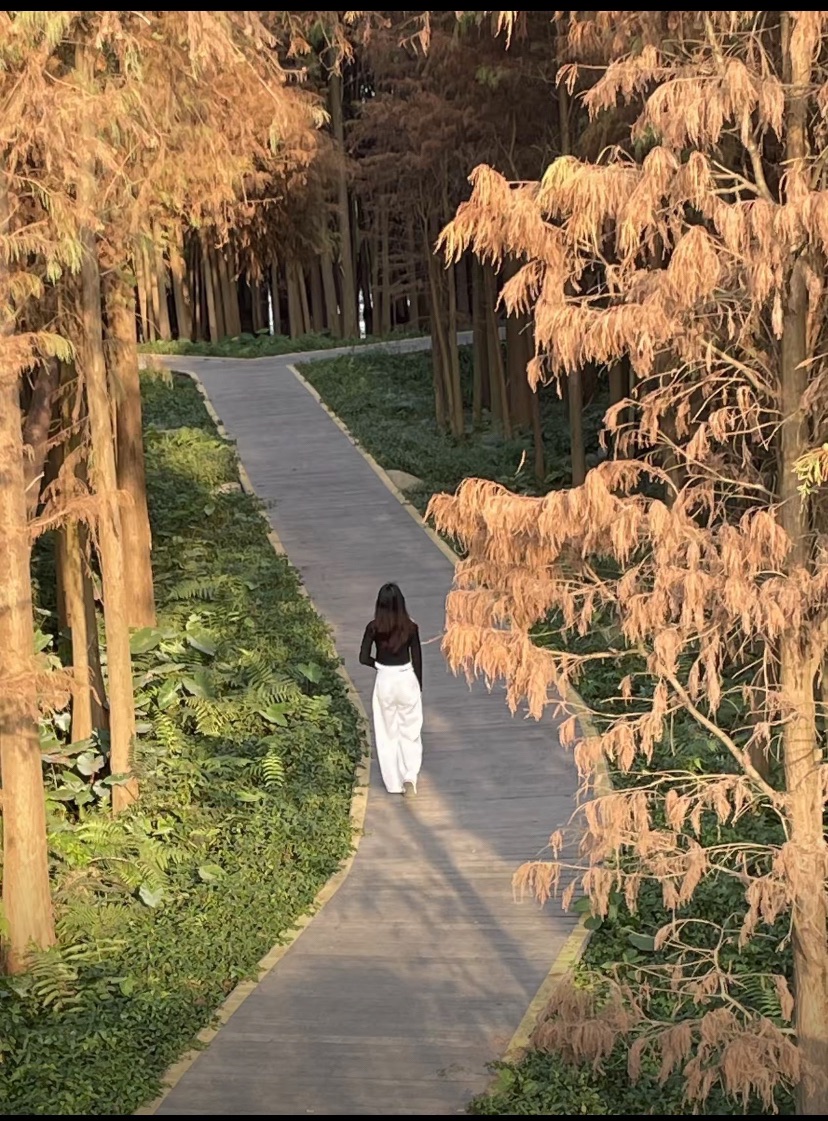 潮连公园旅行图片 2