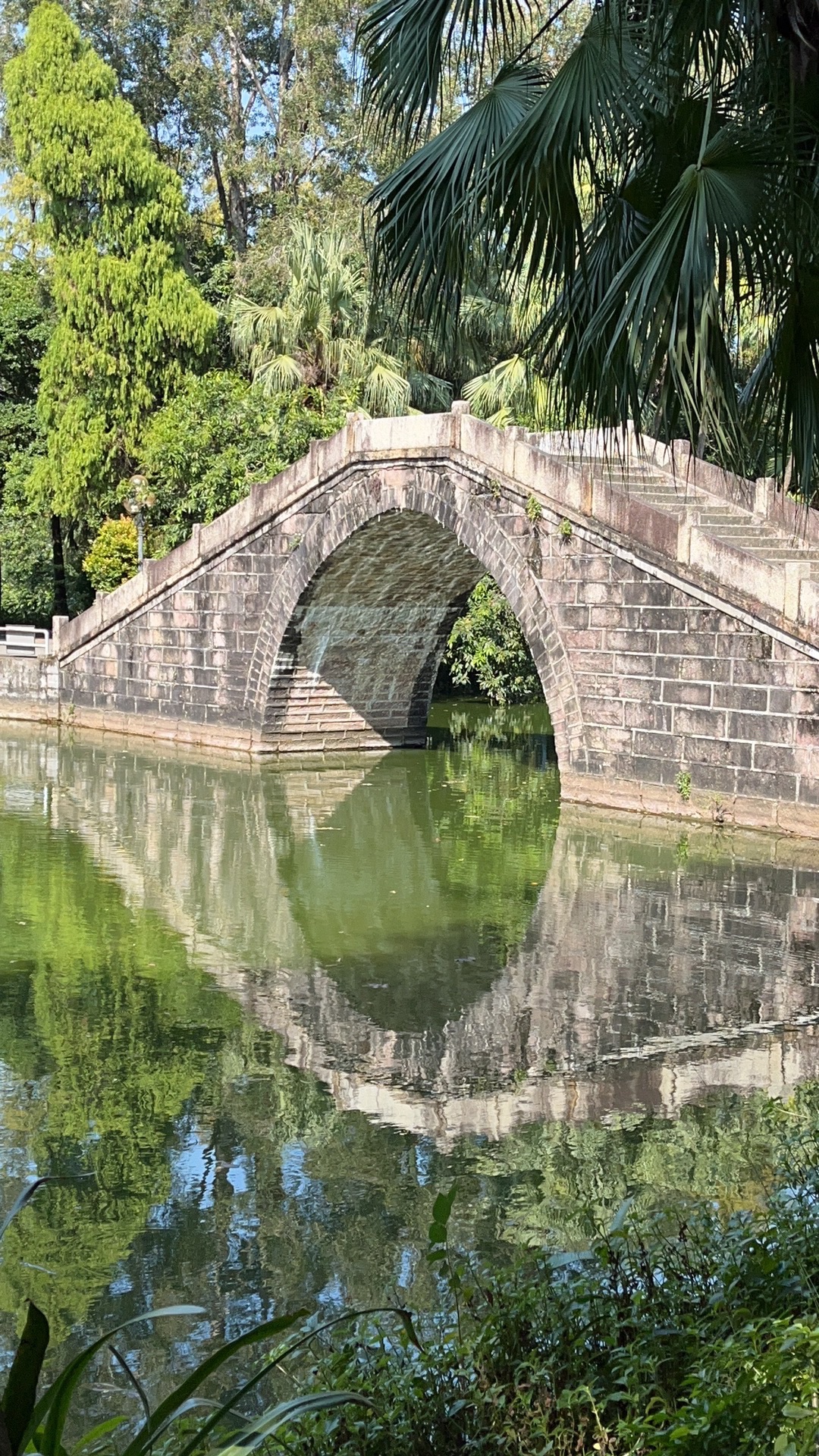 宁城公园旅行图片 3