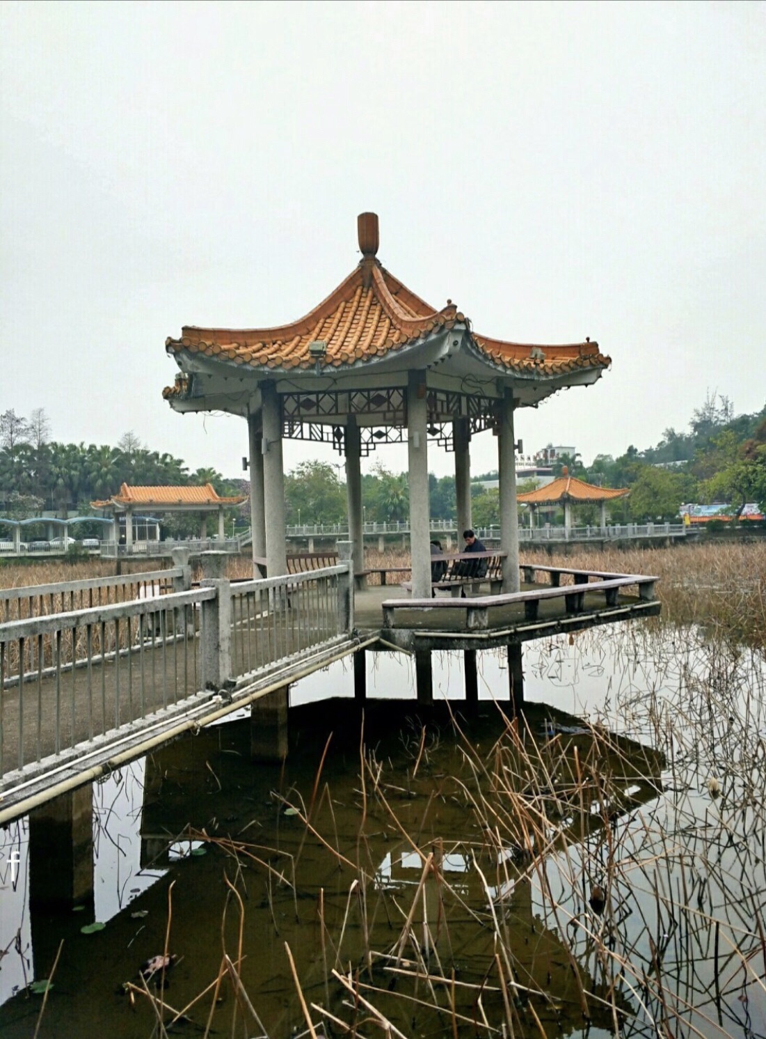 宁城公园旅行图片 2