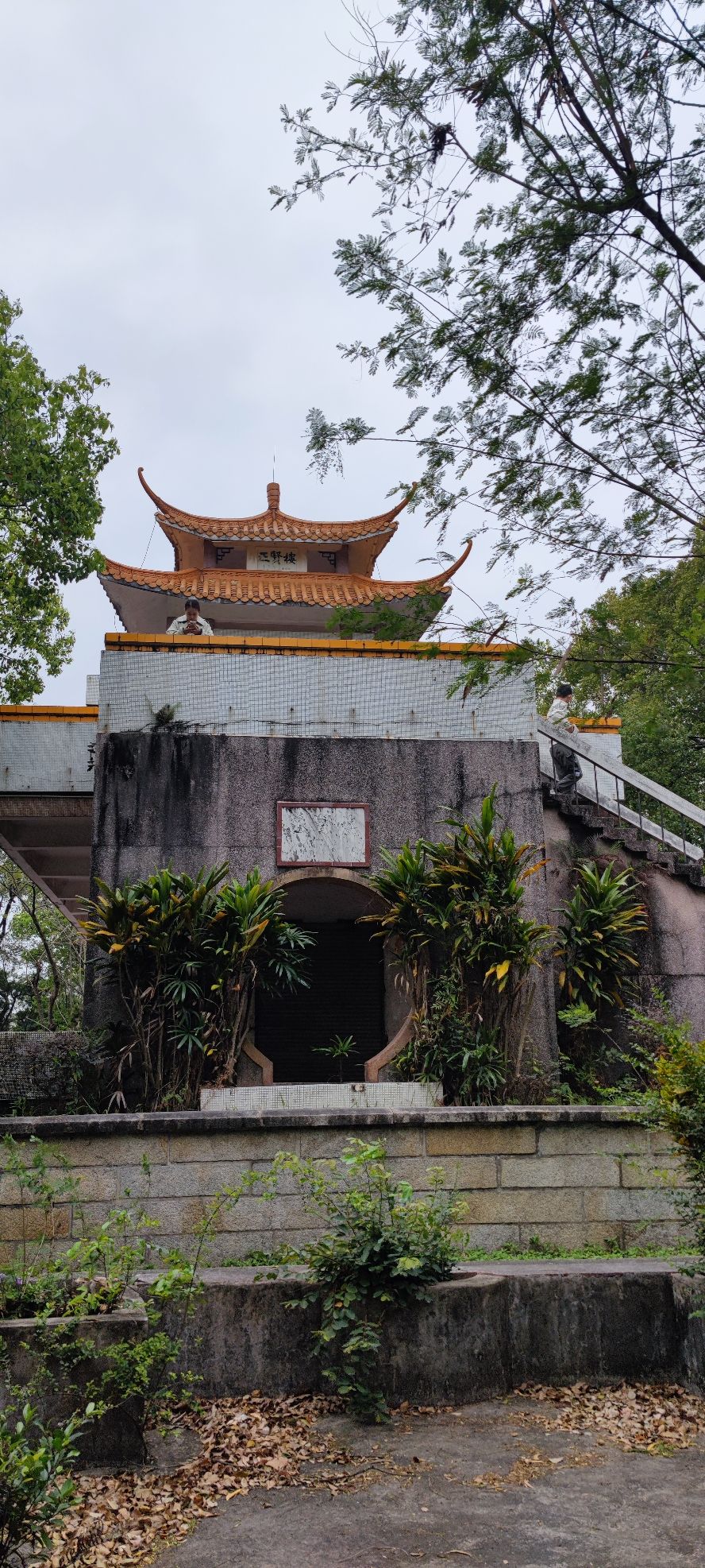 牛山公园旅行图片 3