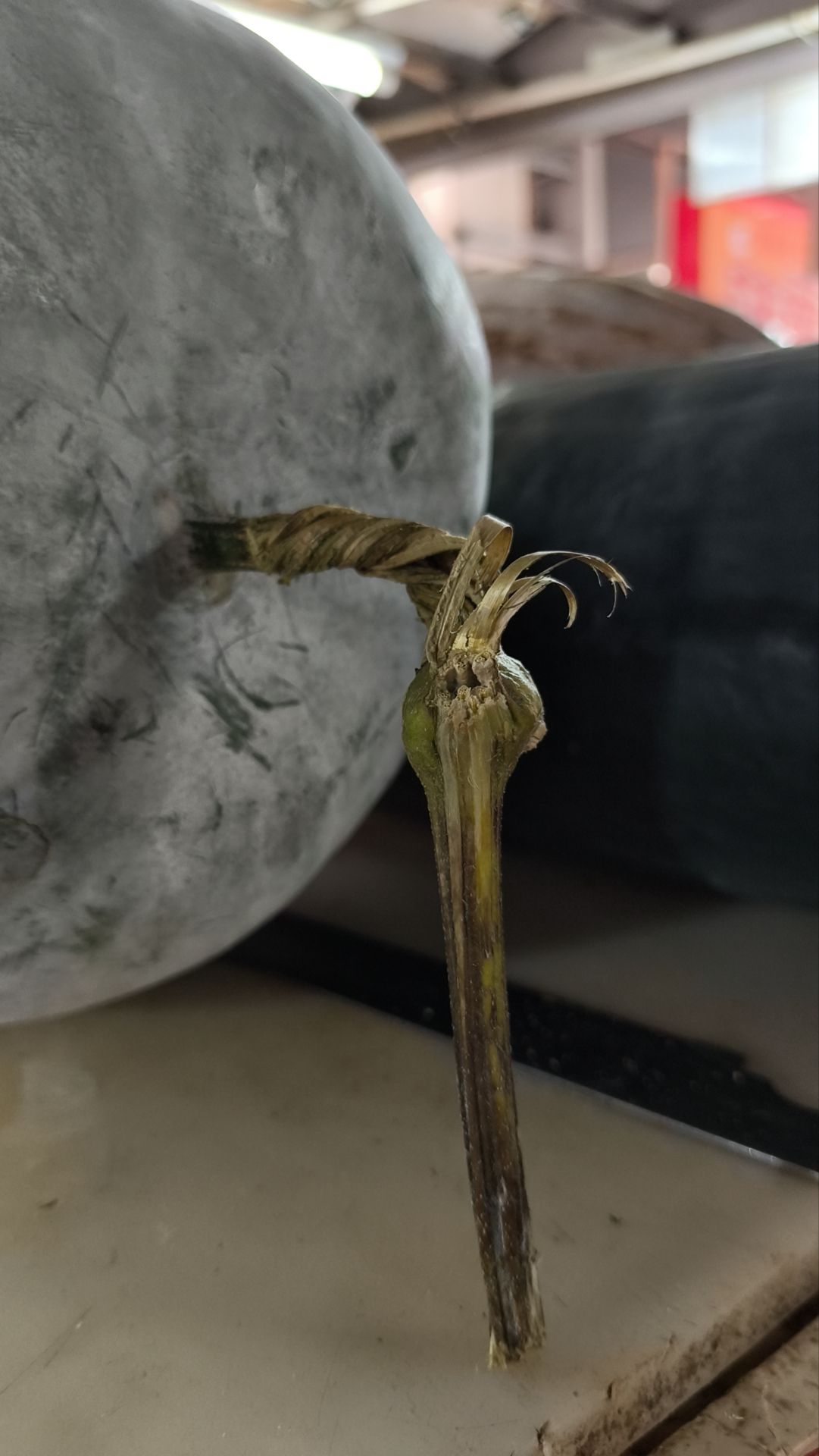 礼东农产品集散地