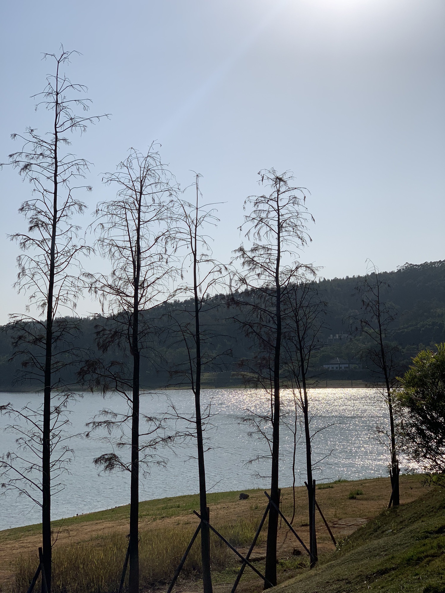 兰石公园旅行图片 3