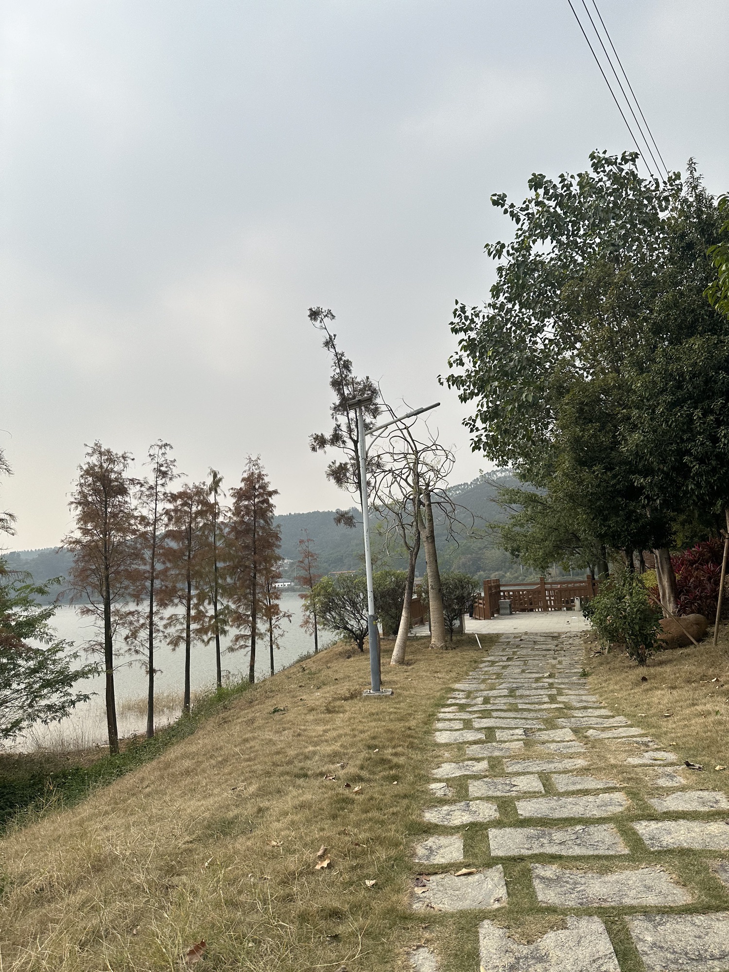 兰石公园旅行图片 3
