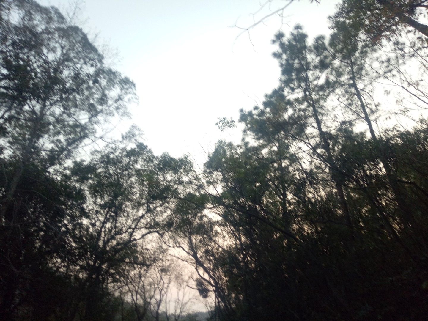 兰石公园旅行图片 1