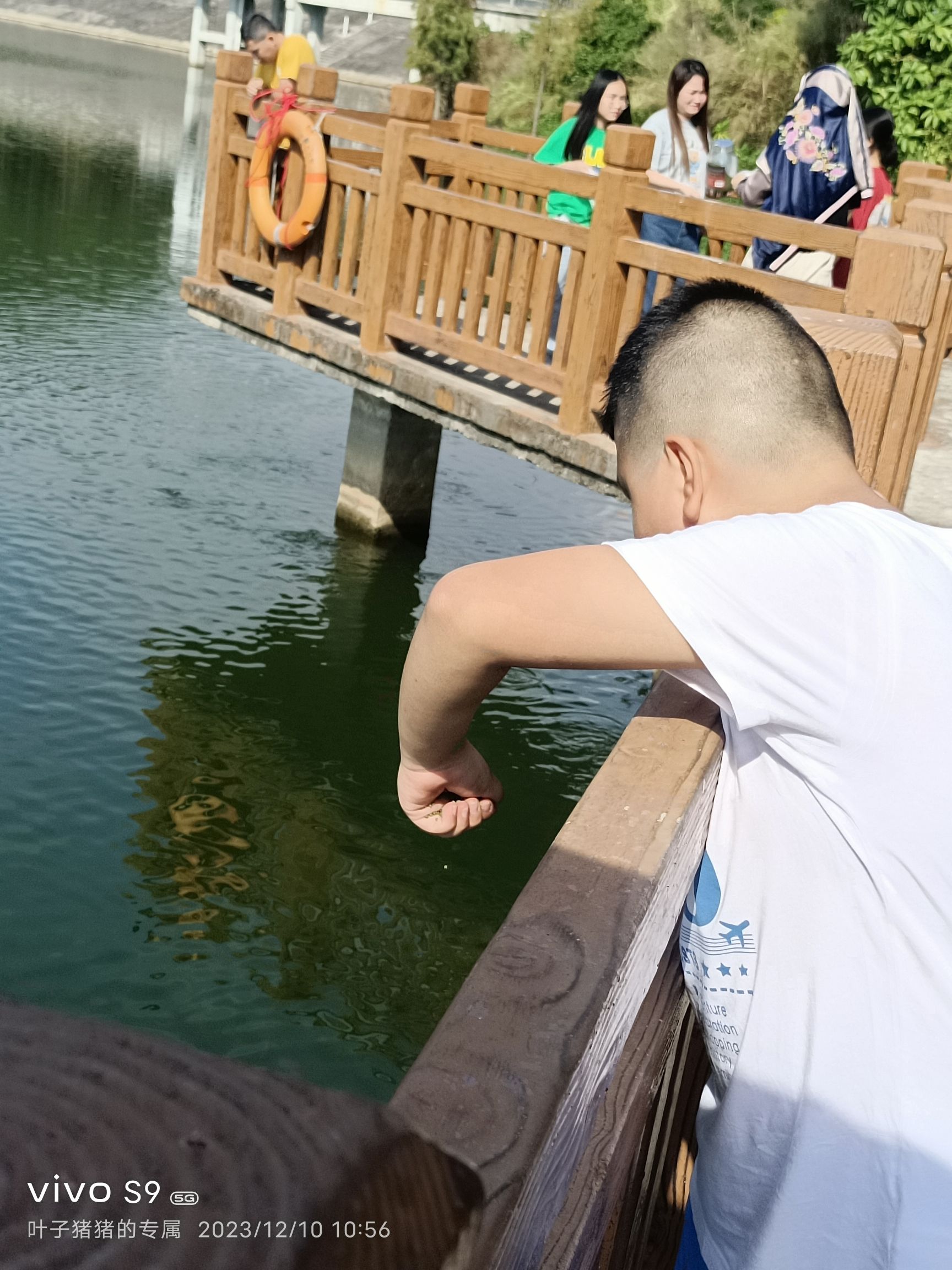兰石公园旅行图片 1