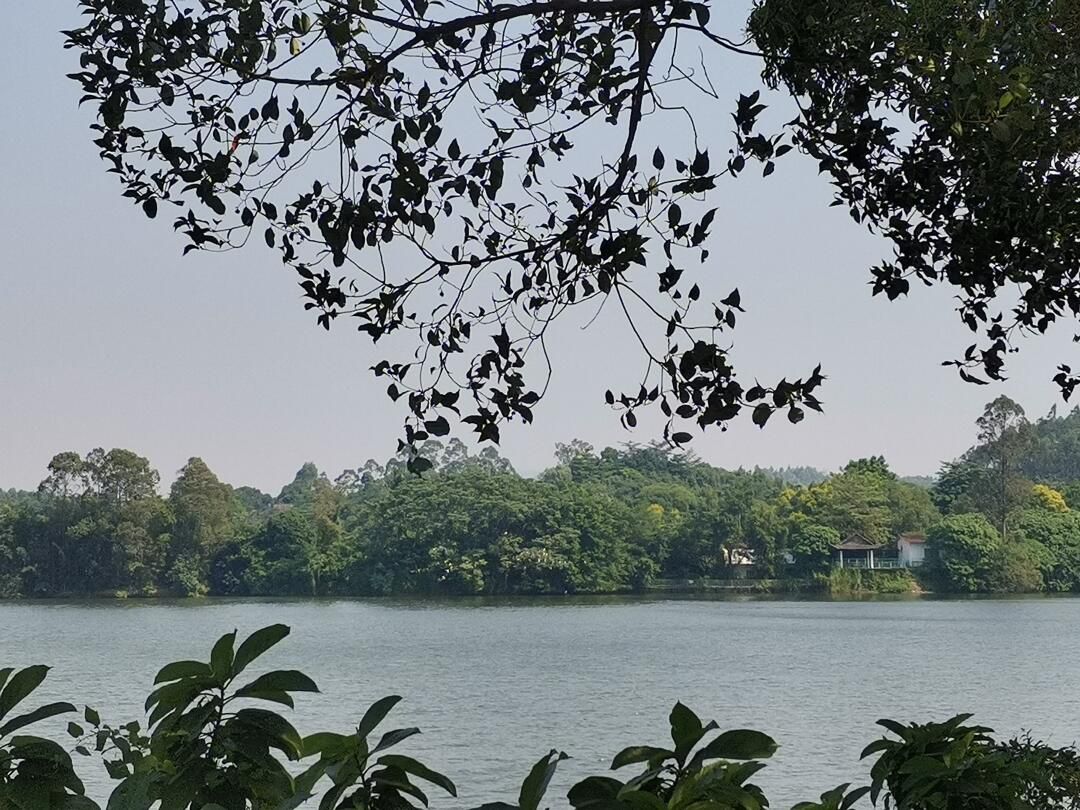兰石公园旅行图片 3