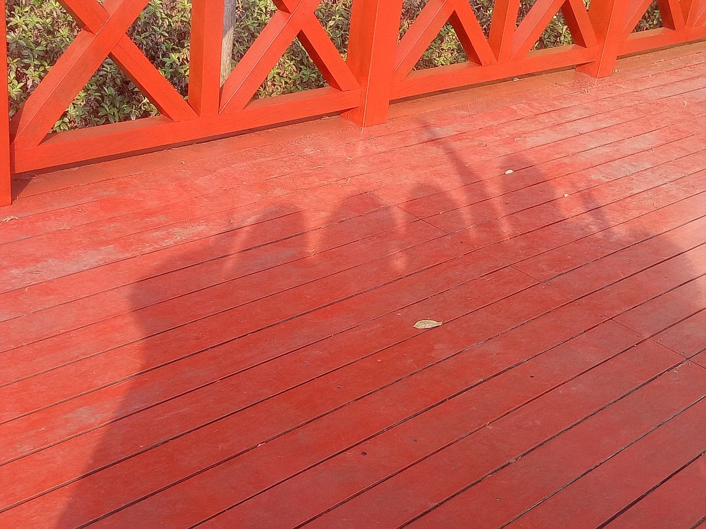 兰石公园旅行图片 3
