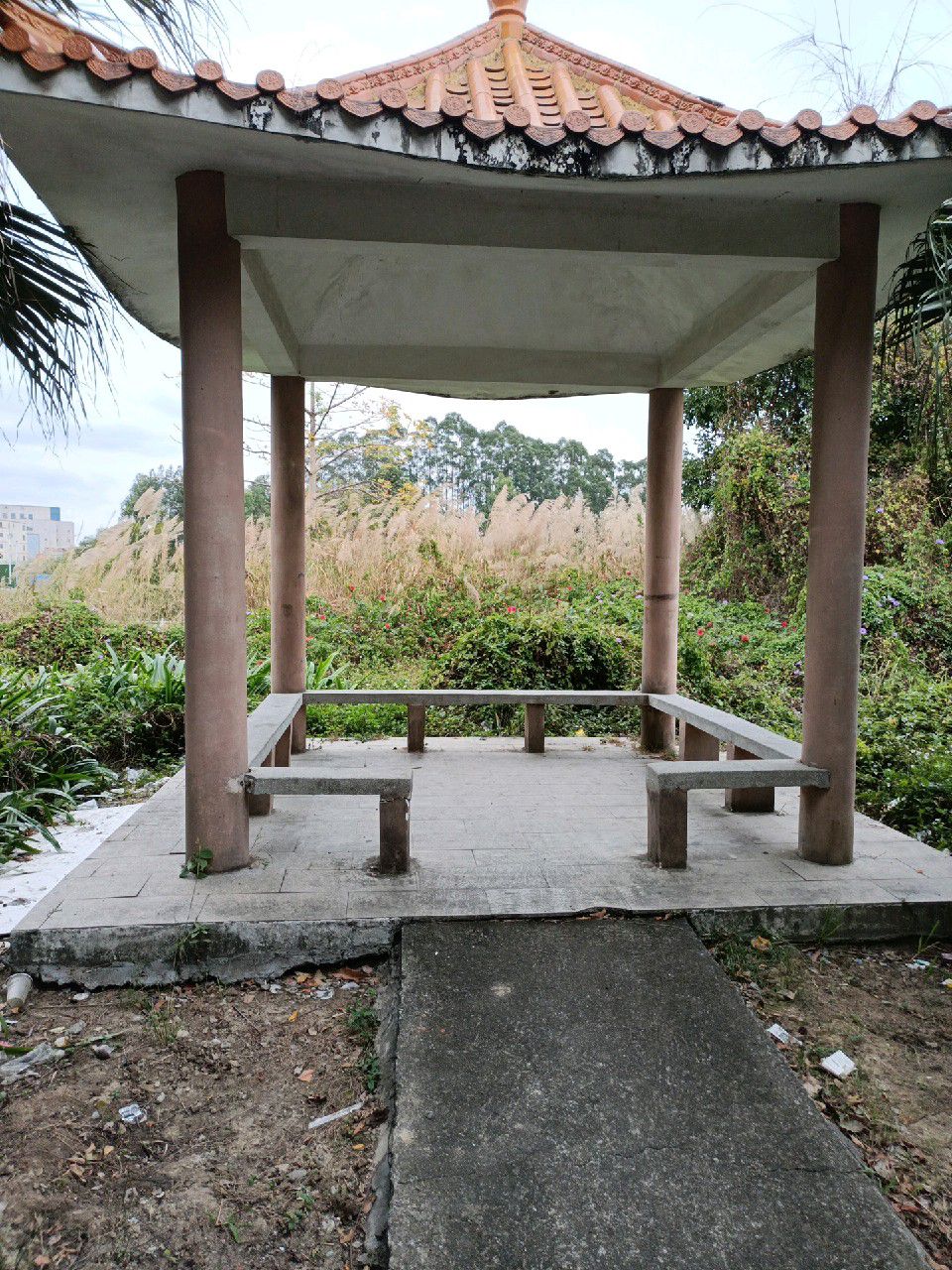荷塘公园旅行图片 2