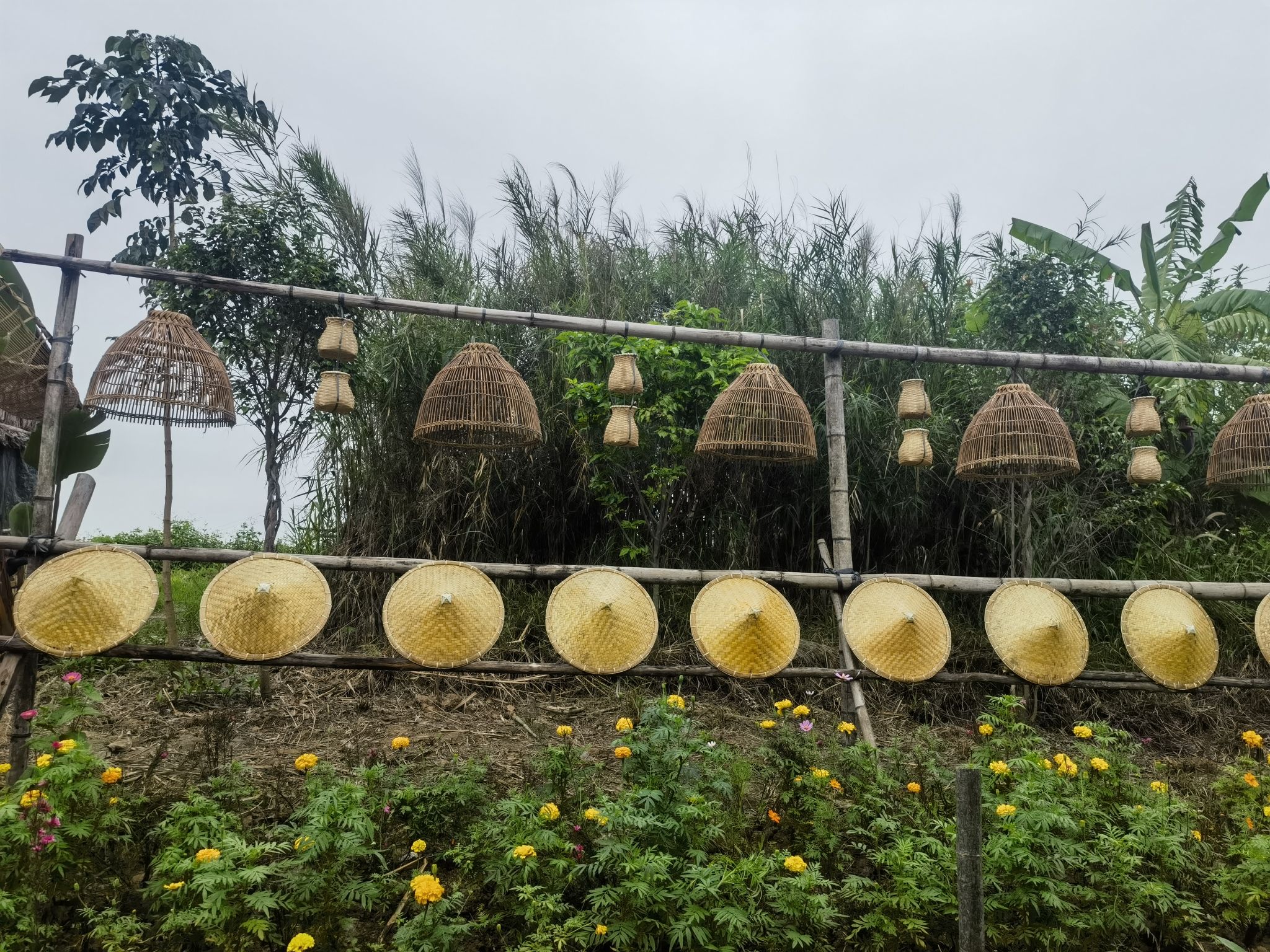 江门古劳水乡旅游区旅行图片 2