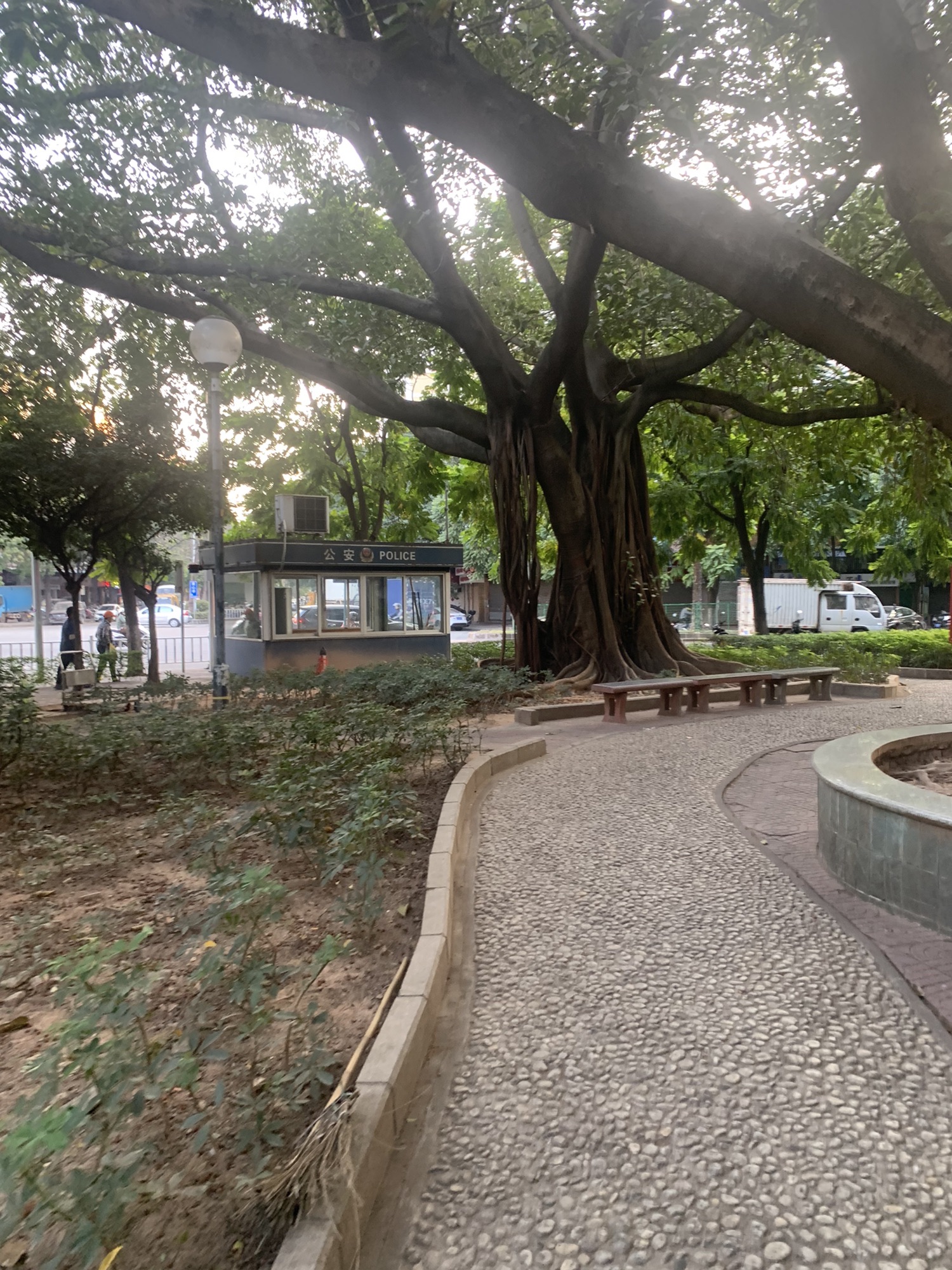 龙昌公园旅行图片 2