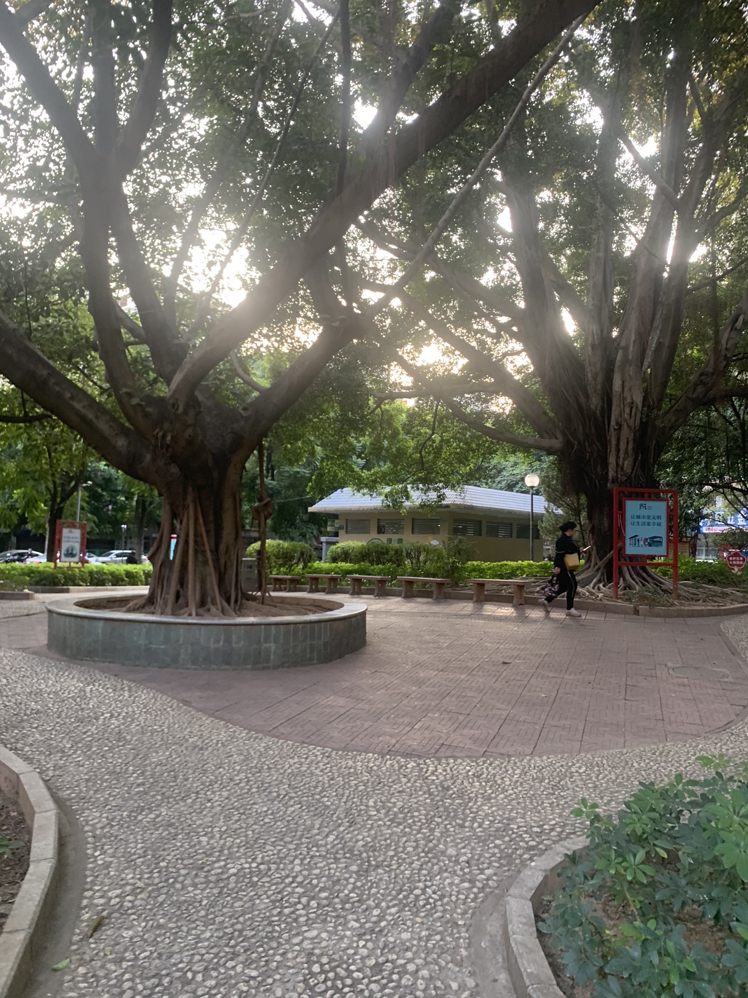 龙昌公园旅行图片 3