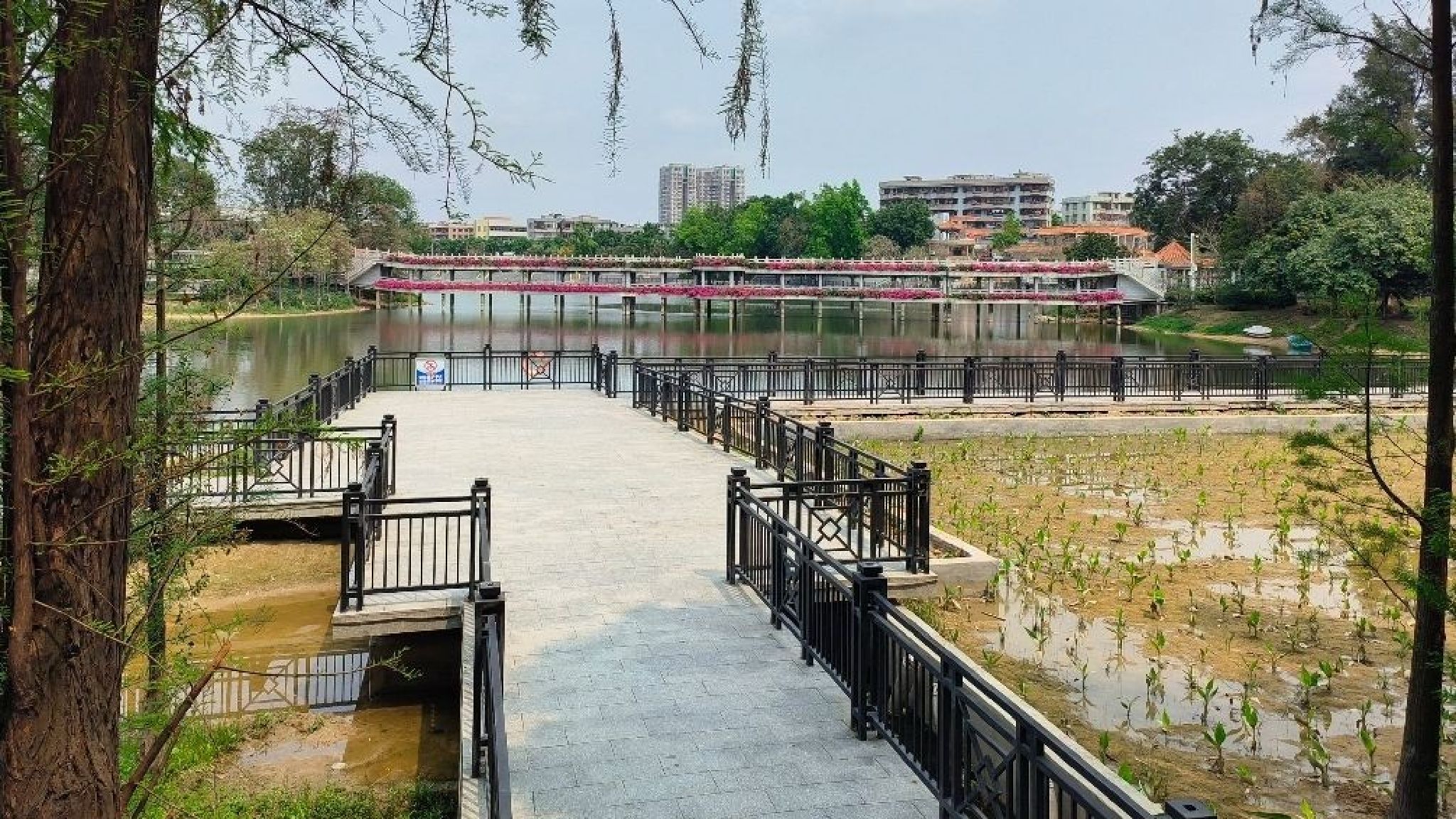 北湖公园旅行图片 1