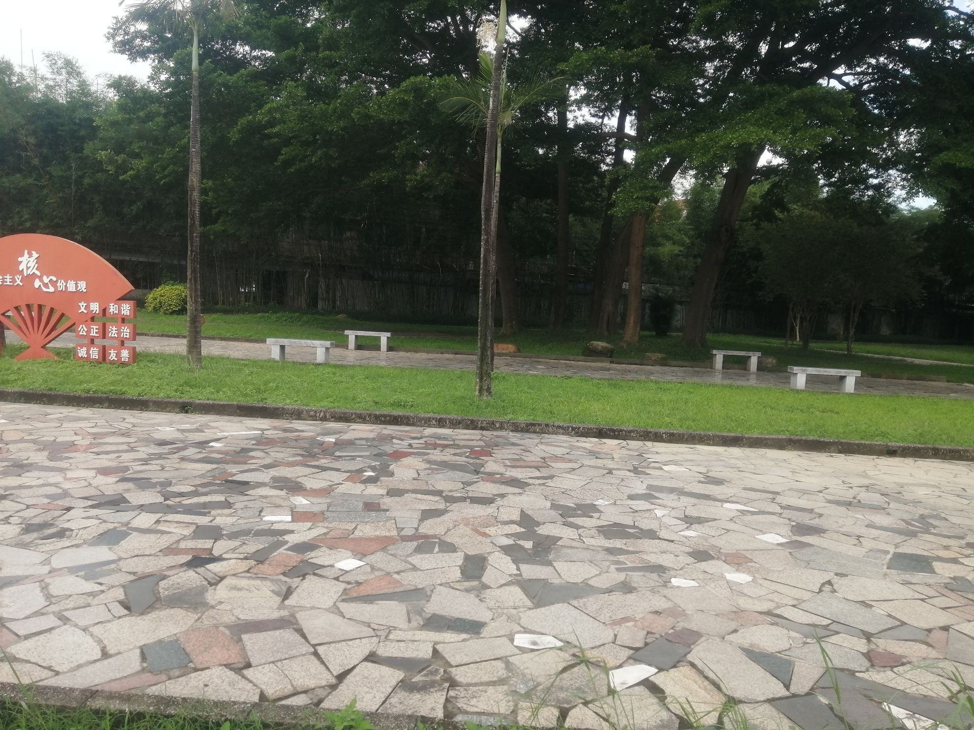 小岛文化广场旅行图片 3