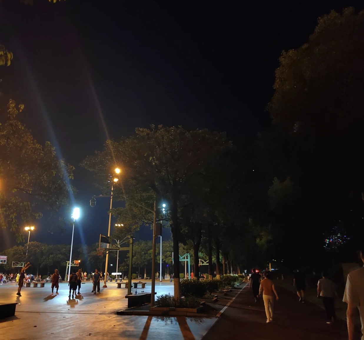 西河全民健身广场旅行图片 3