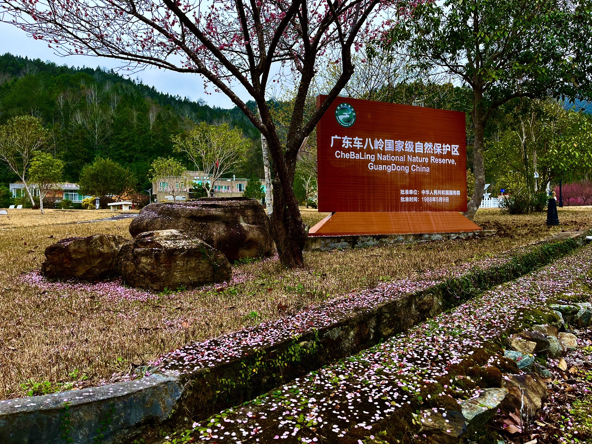 车八岭国家级自然保护区旅行图片 1