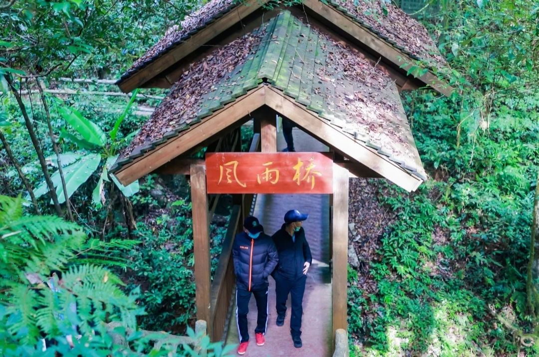车八岭国家级自然保护区旅行图片 2