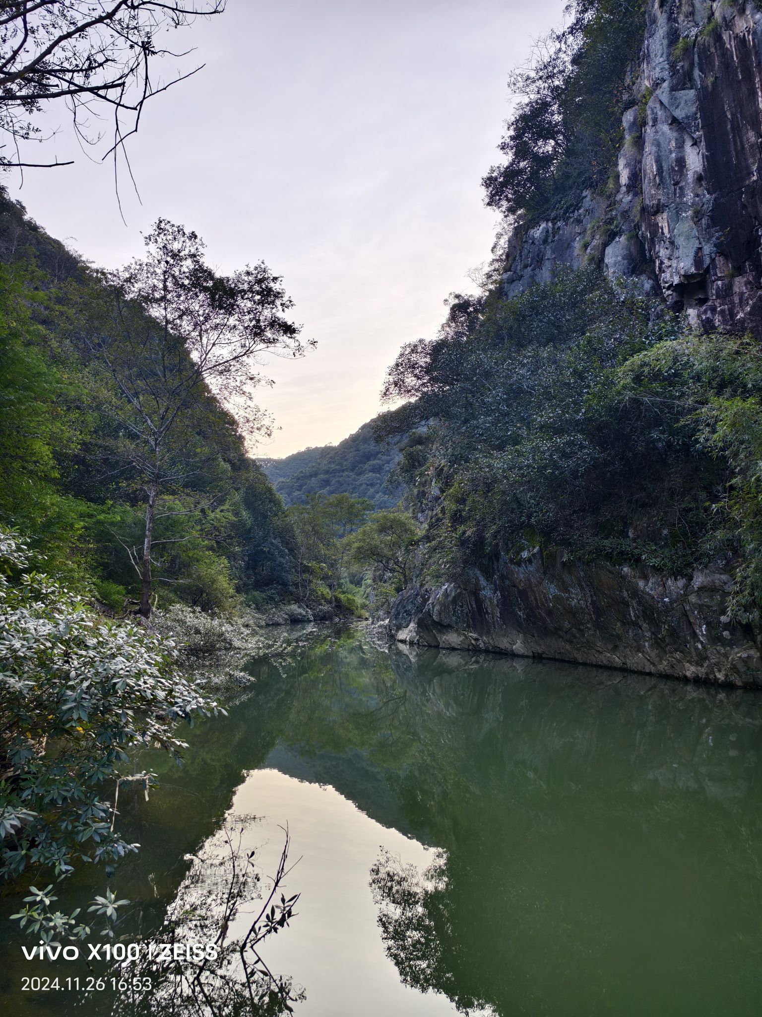 车八岭国家级自然保护区旅行图片 2