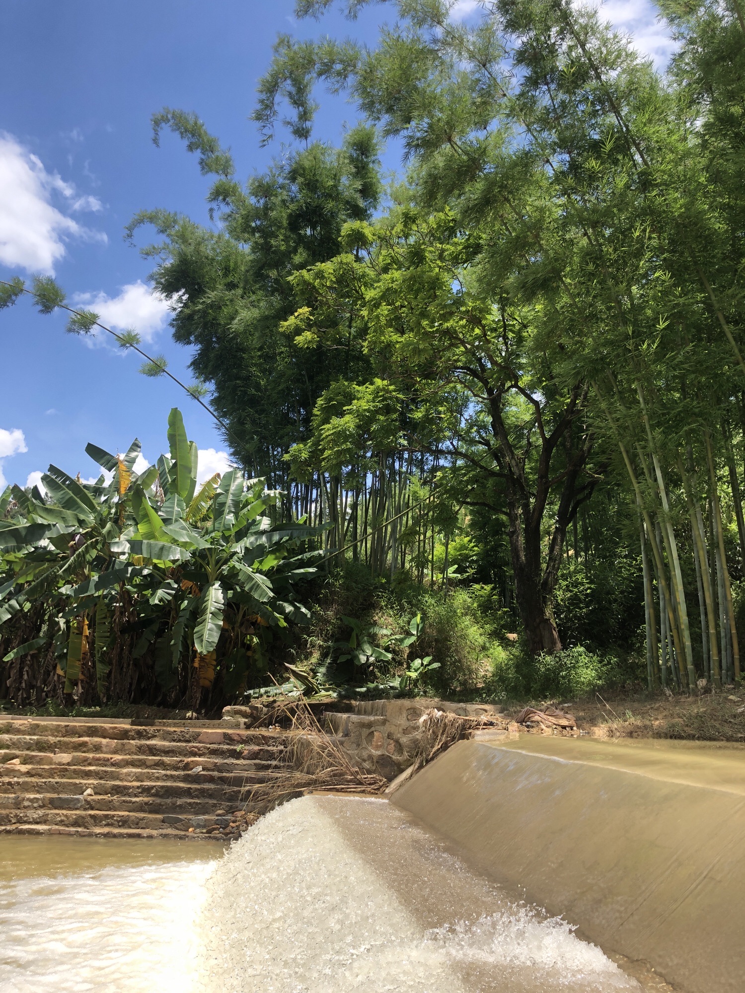 鲁古河自然保护区旅行图片 3