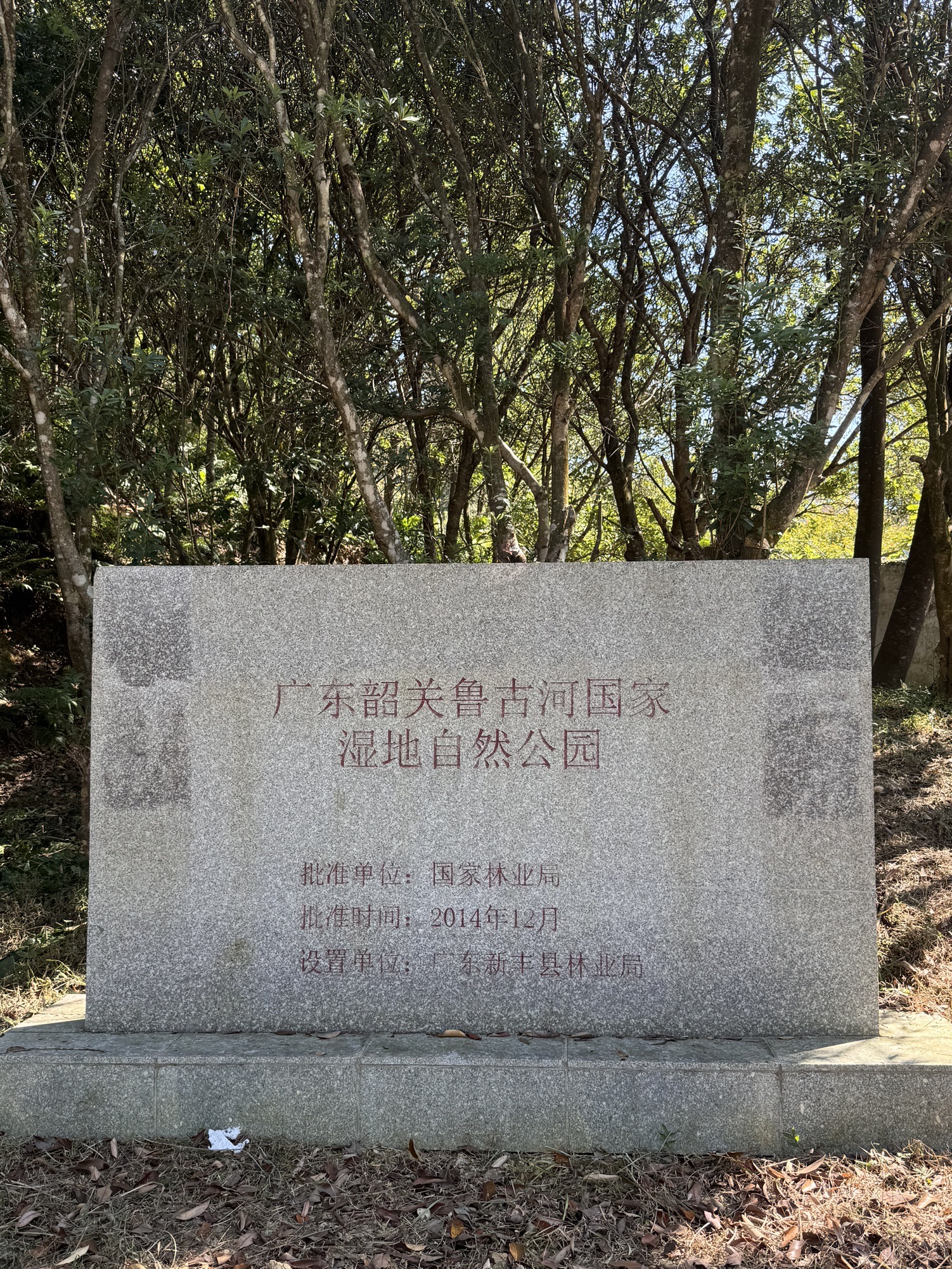 鲁古河自然保护区旅行图片 1