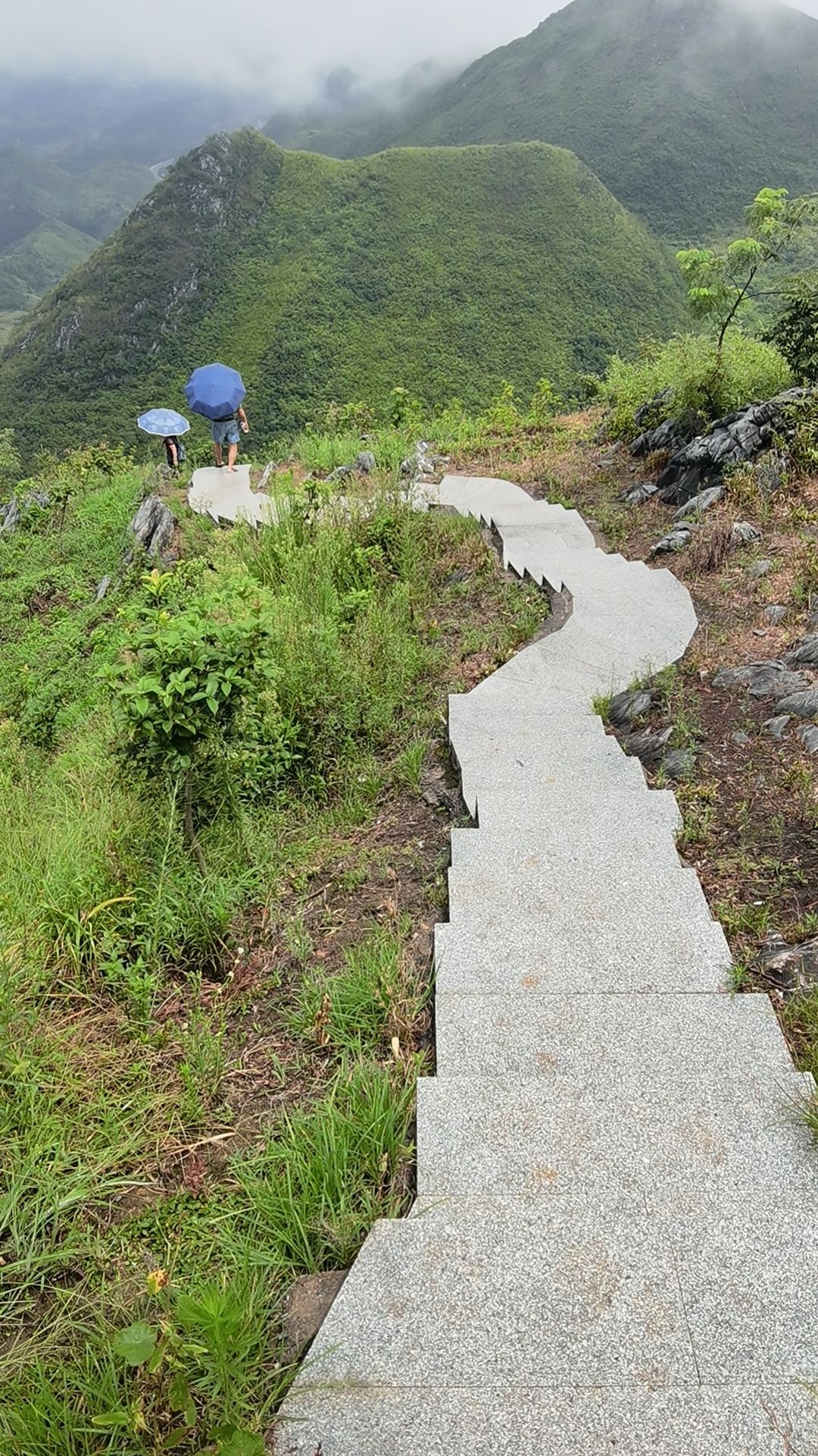 青莲山佛祖殿旅行图片 1