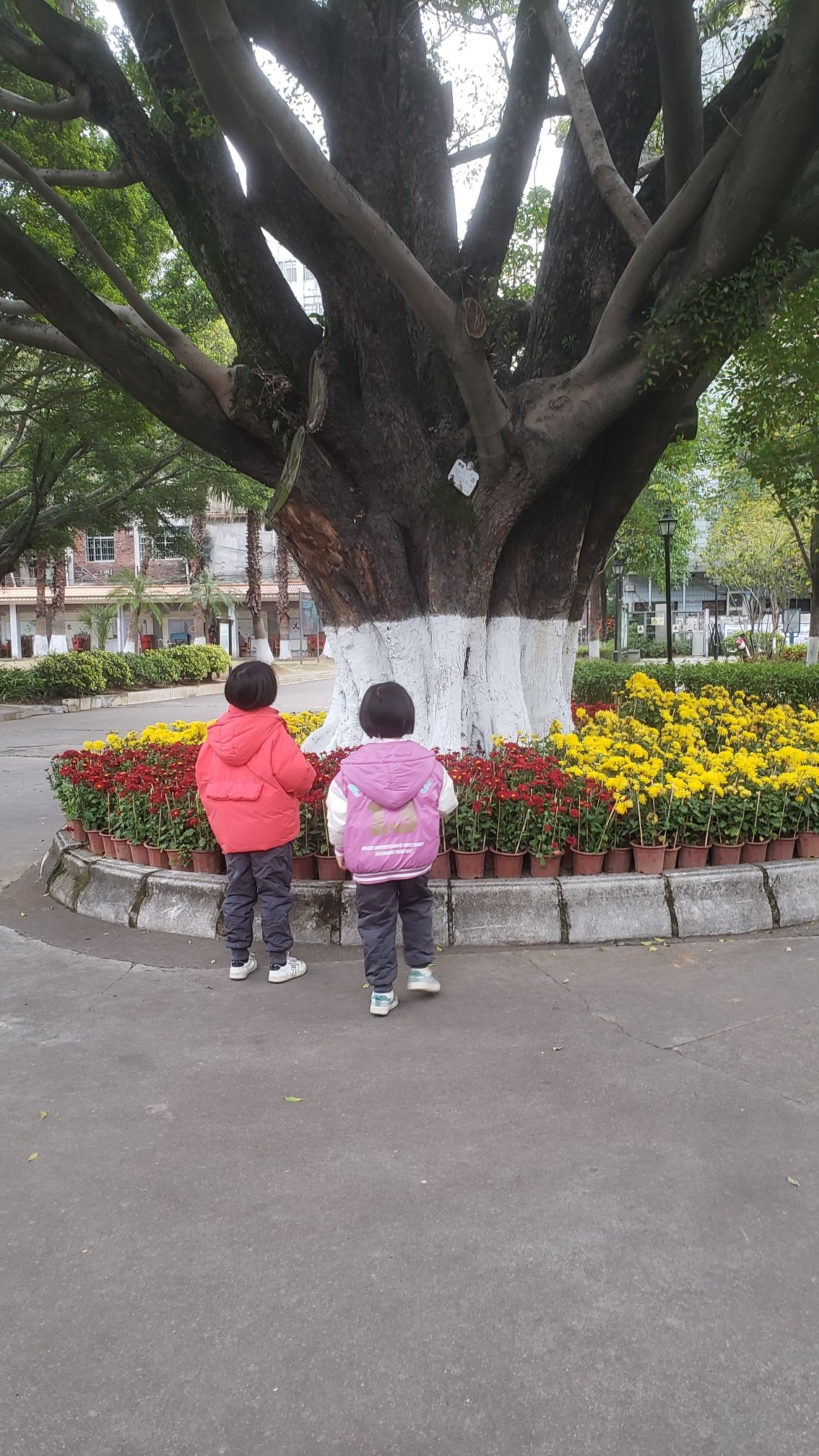 曲江人民公园旅行图片 2