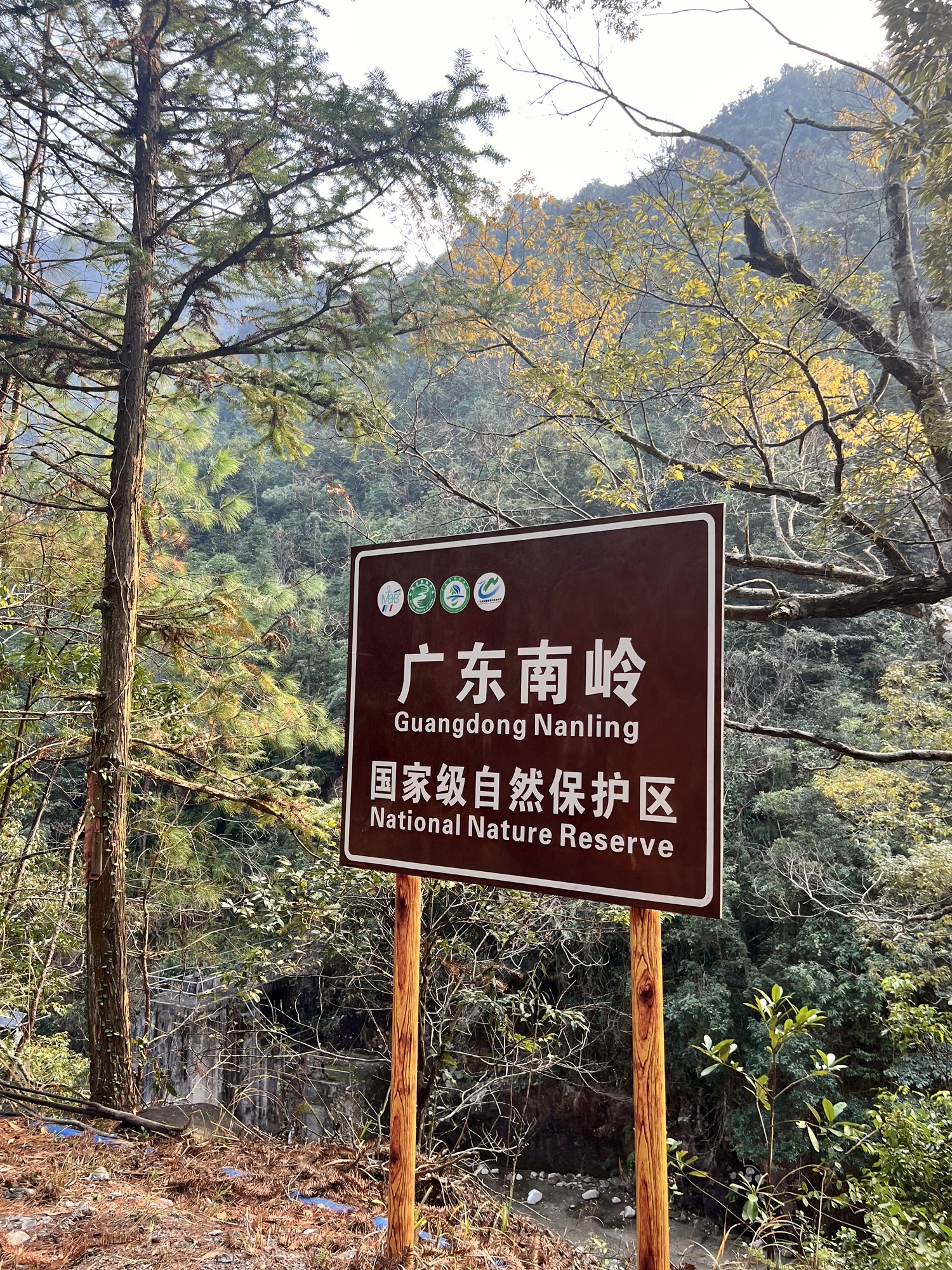 南岭国家森林公园(暂停开放)旅行图片 2