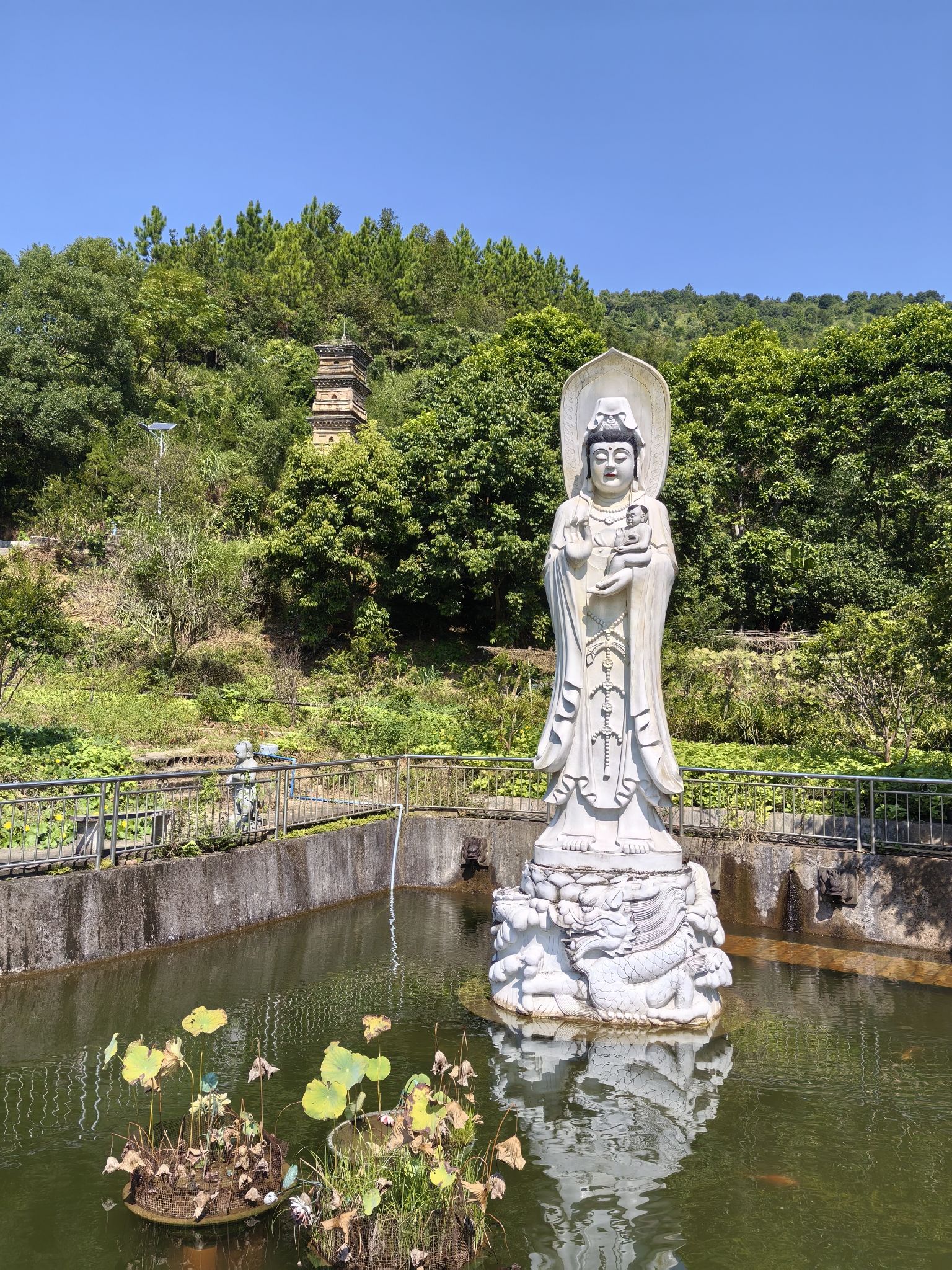 云龙寺实景照片