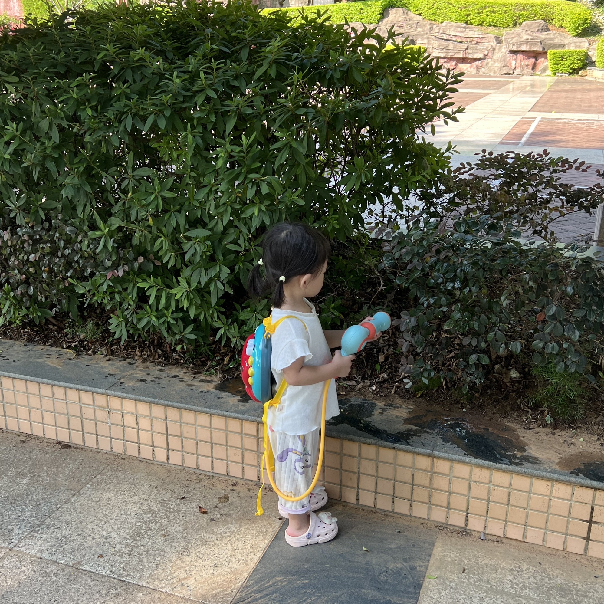 韶关市帽峰公园旅行图片 3