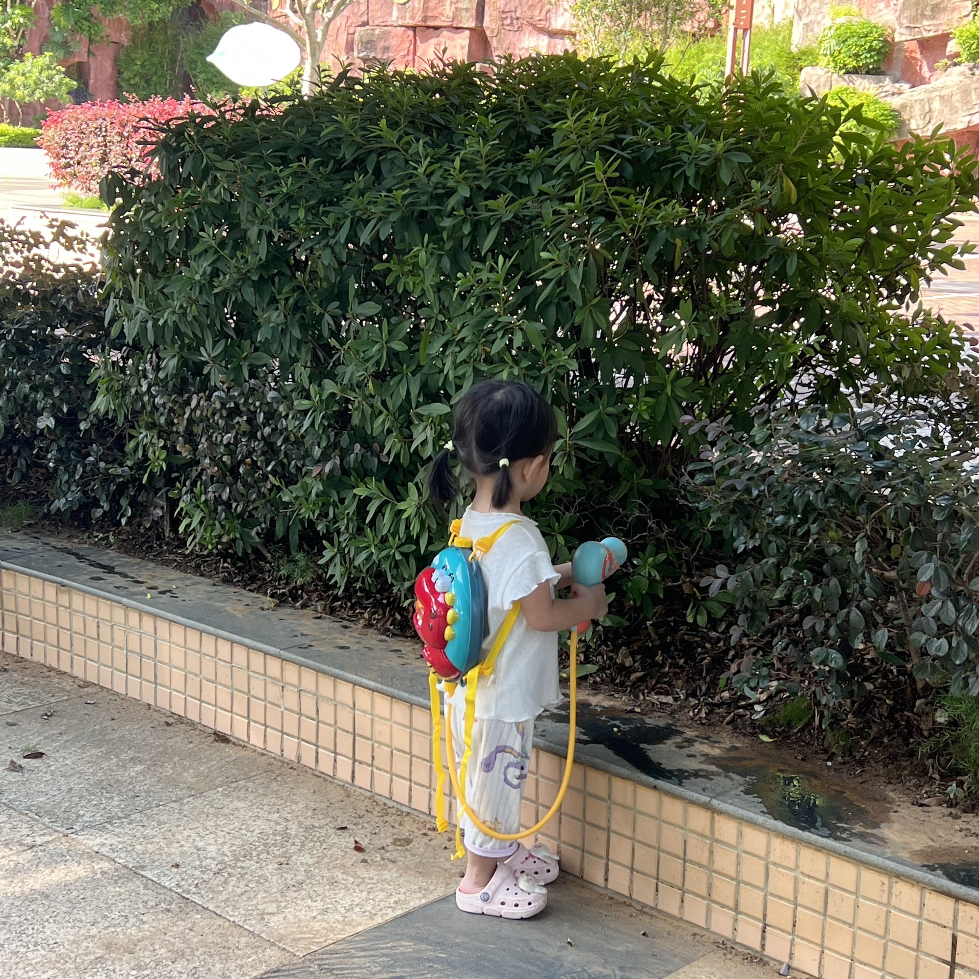 韶关市帽峰公园旅行图片 1