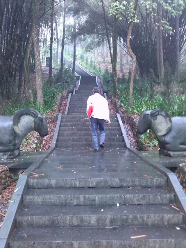 张九龄家族墓地旅行图片 2