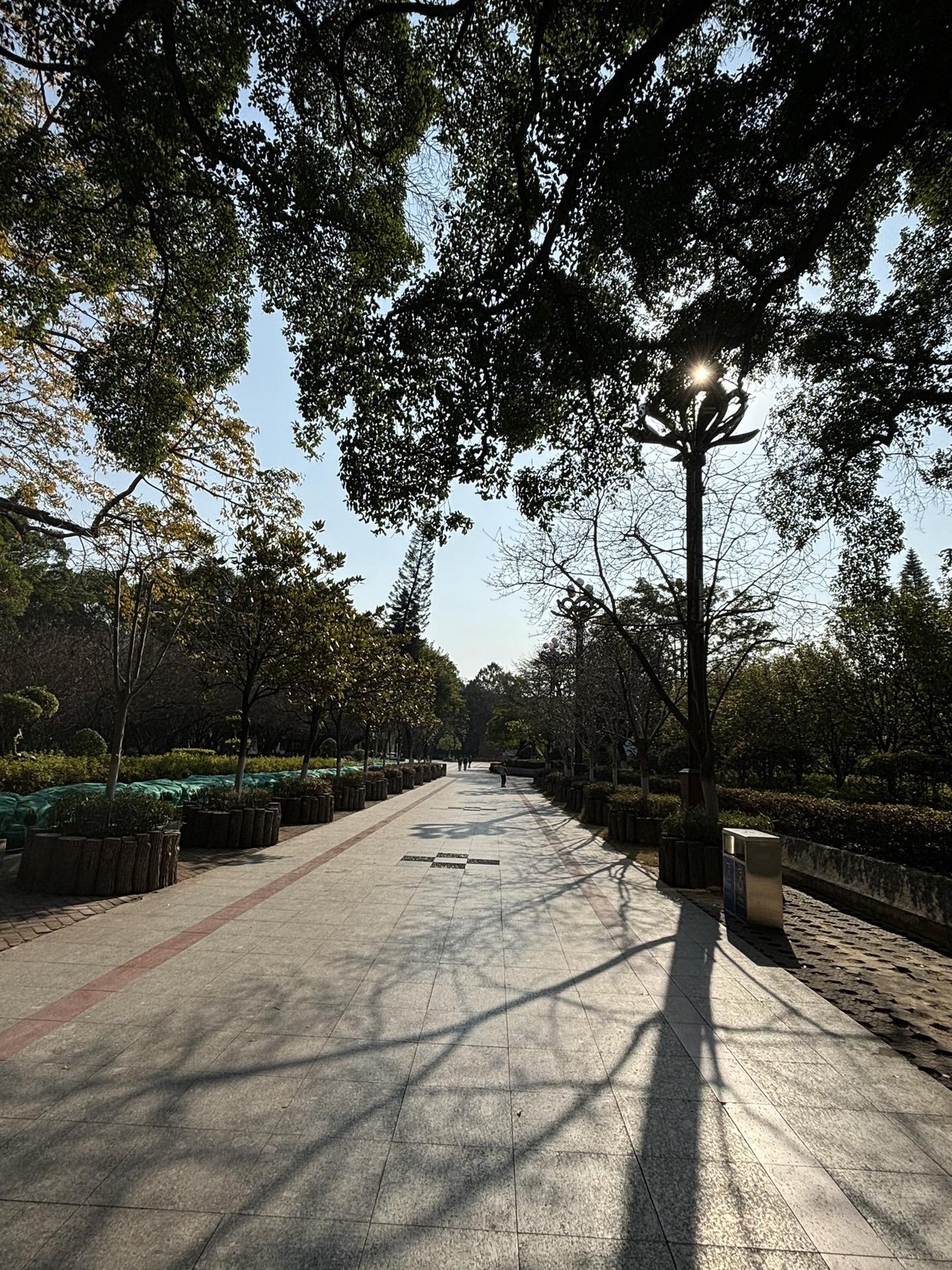 中山公园旅行图片 2