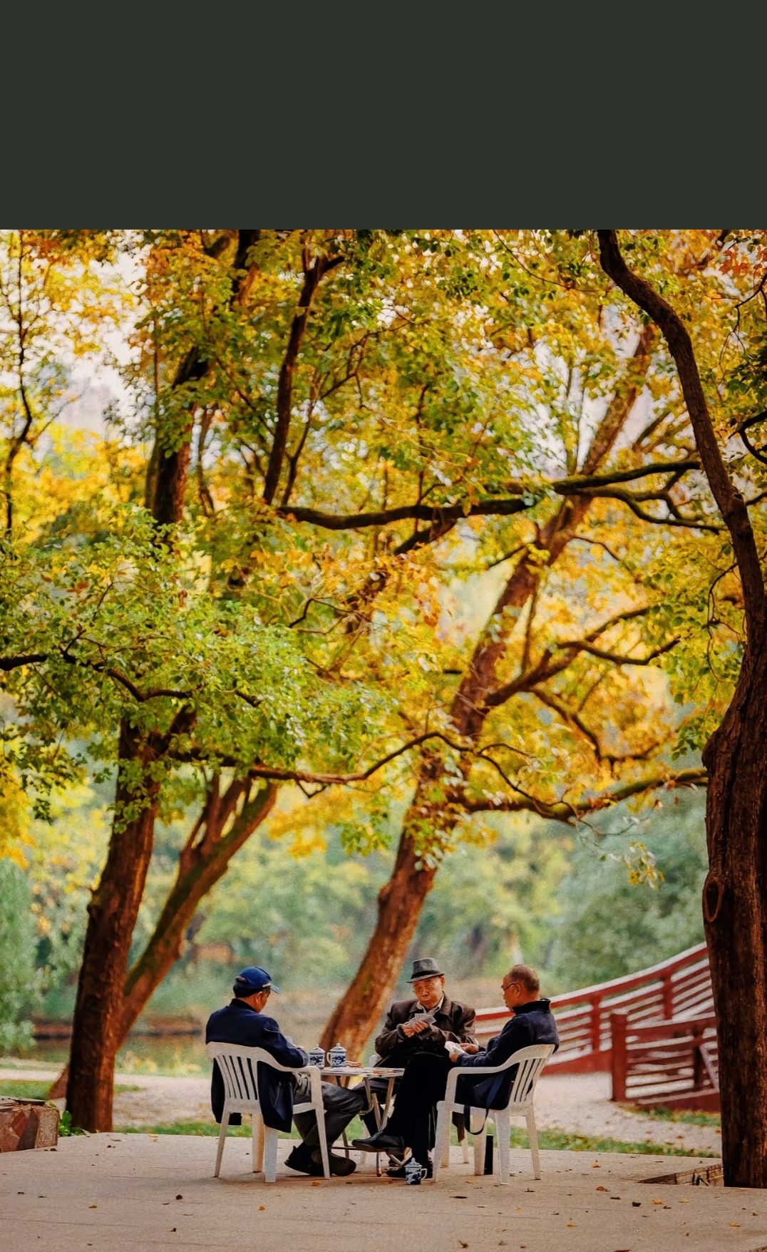 中山公园旅行图片 1