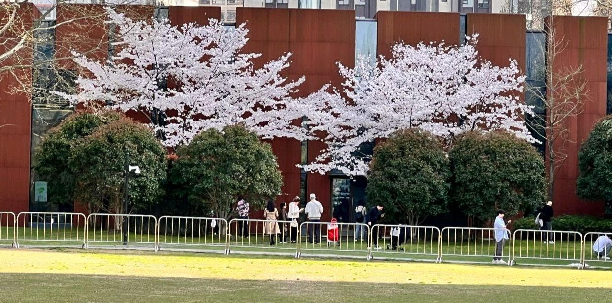 中山公园旅行图片 3