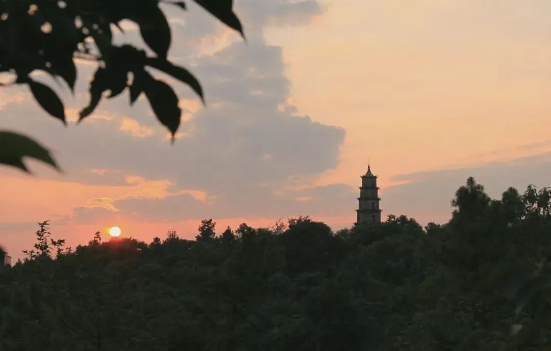 南塔公园旅行图片 1