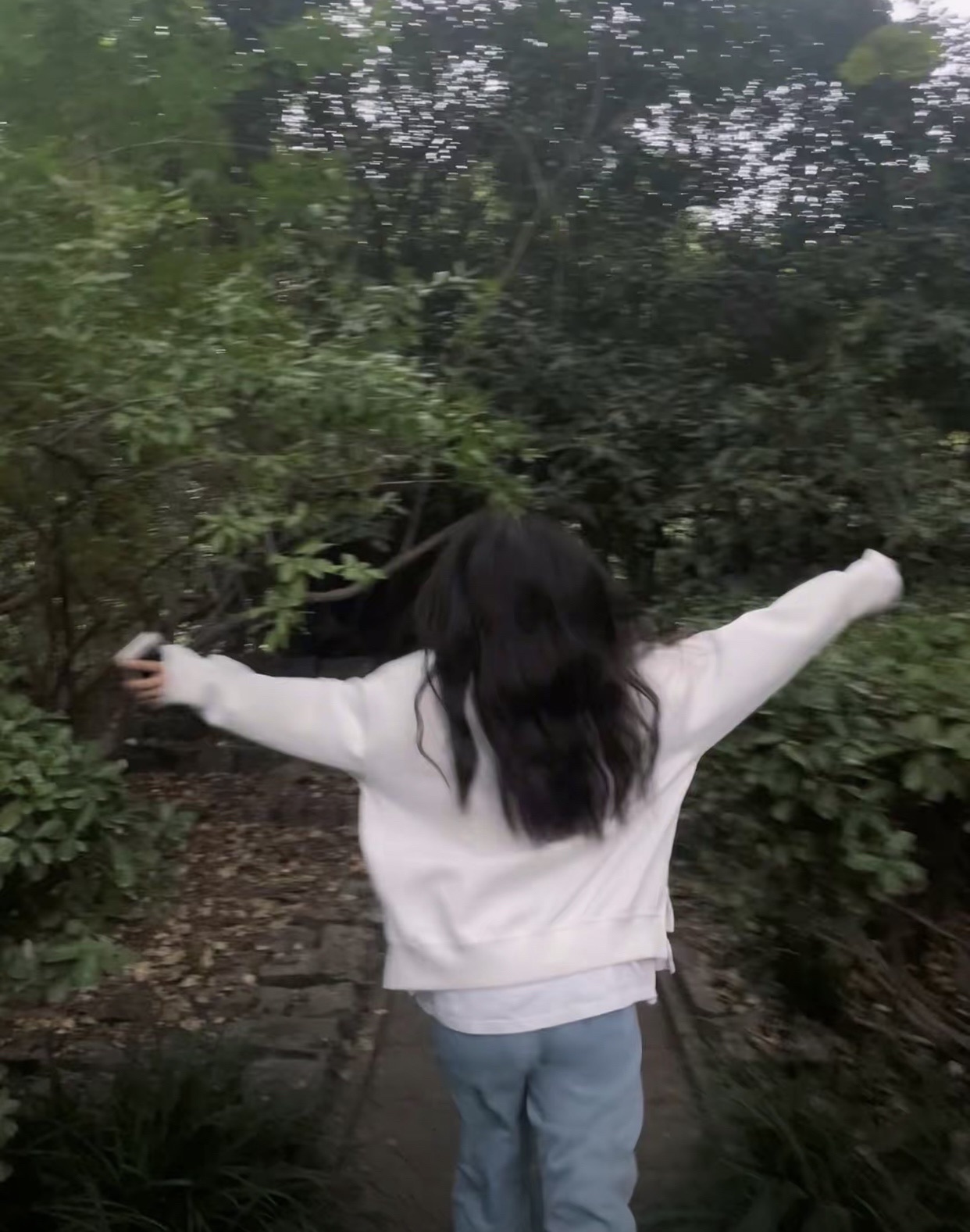 南塔公园旅行图片 2