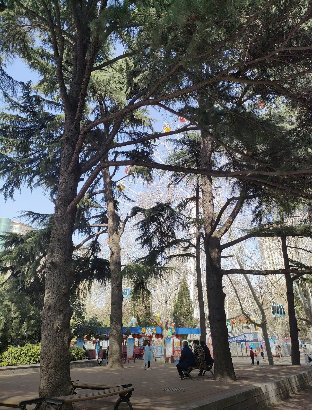 南塔公园旅行图片 3