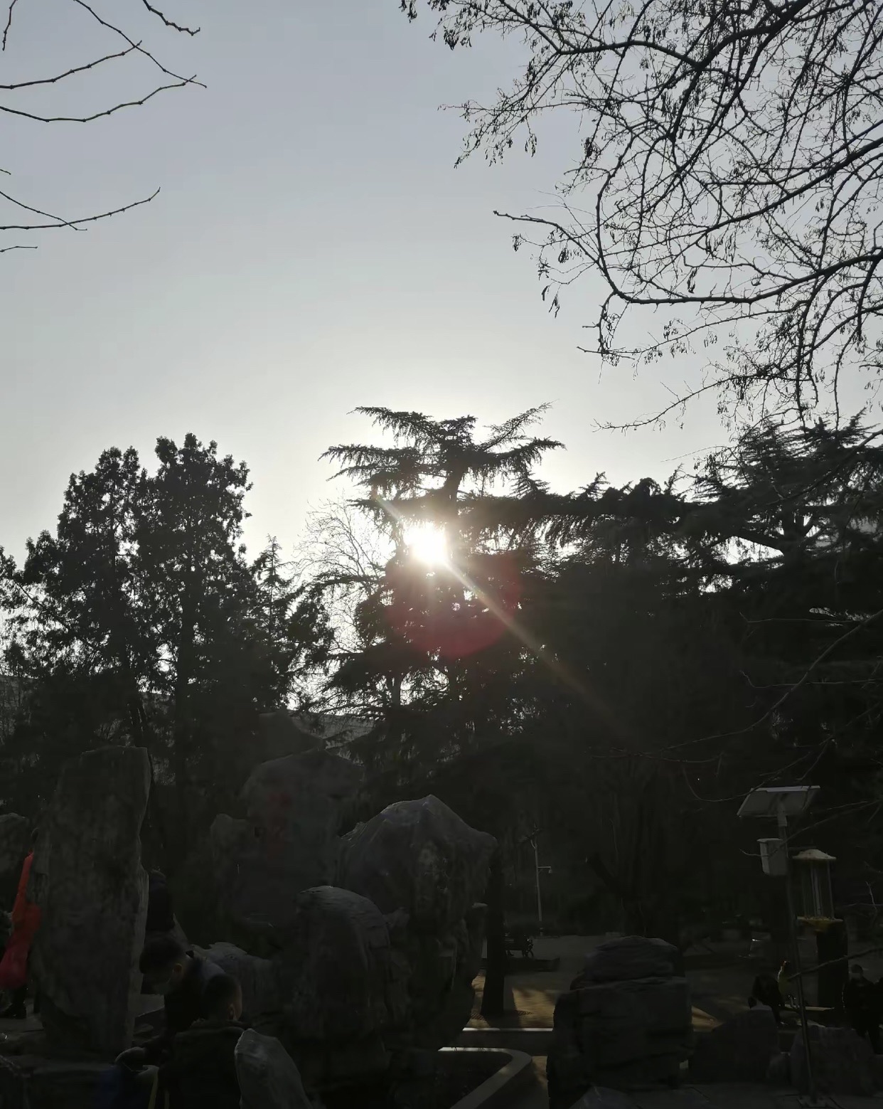 南塔公园旅行图片 1