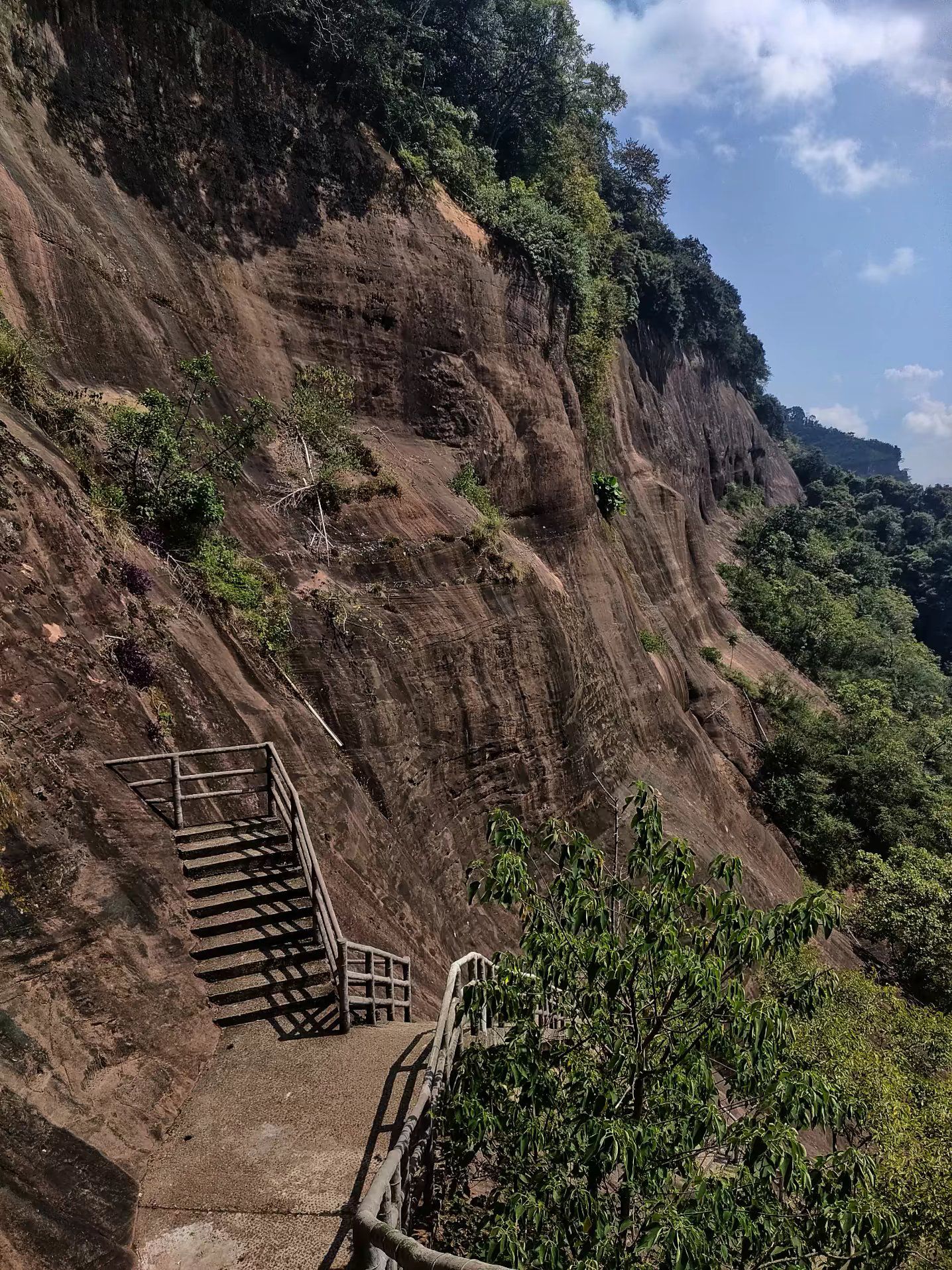 广东南岭国家级自然保护区旅行图片 1