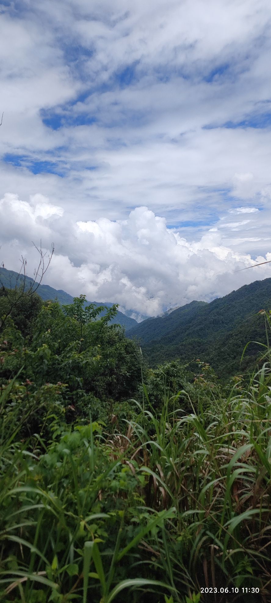广东南岭国家级自然保护区旅行图片 3